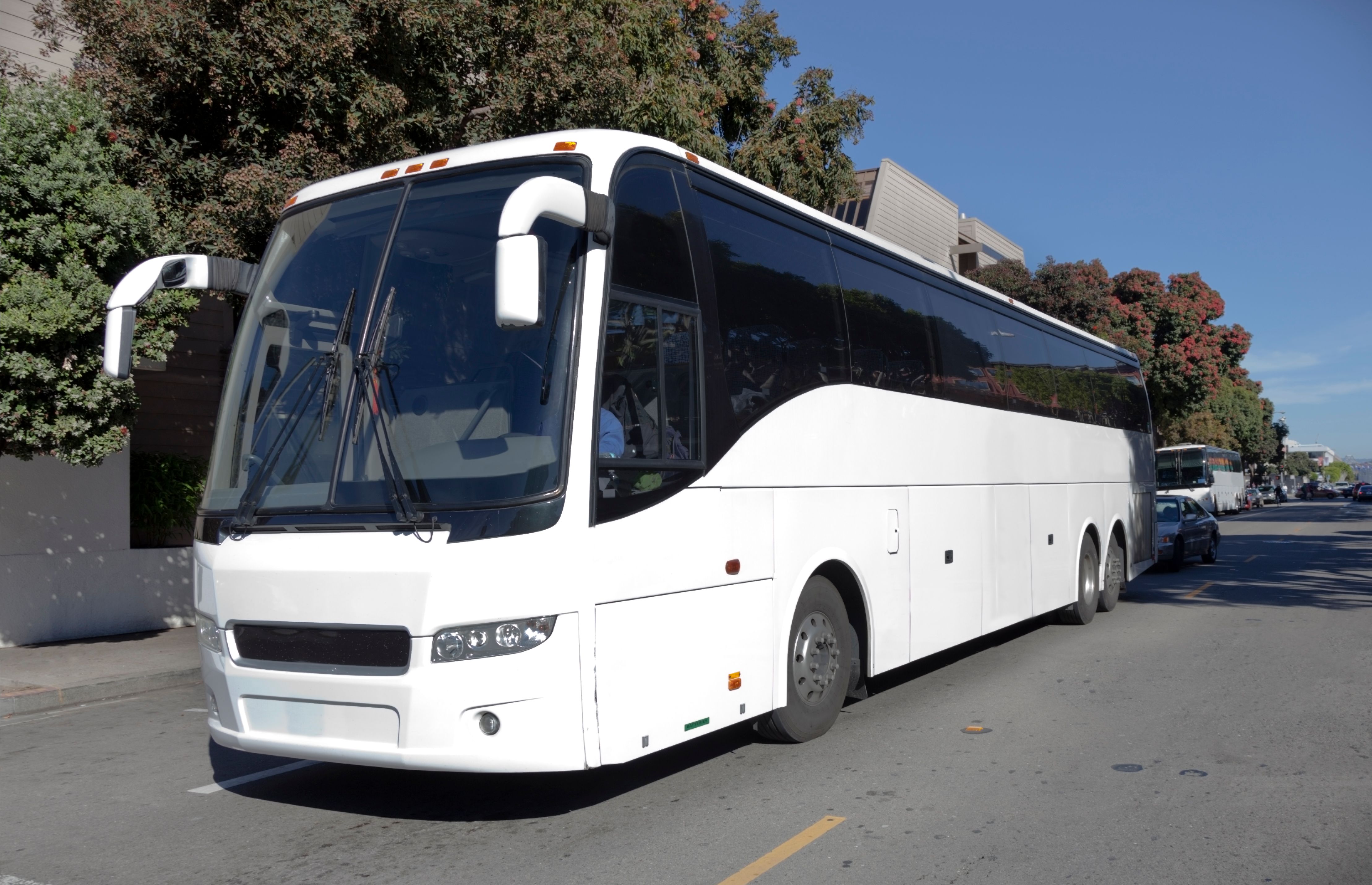 bus hire service