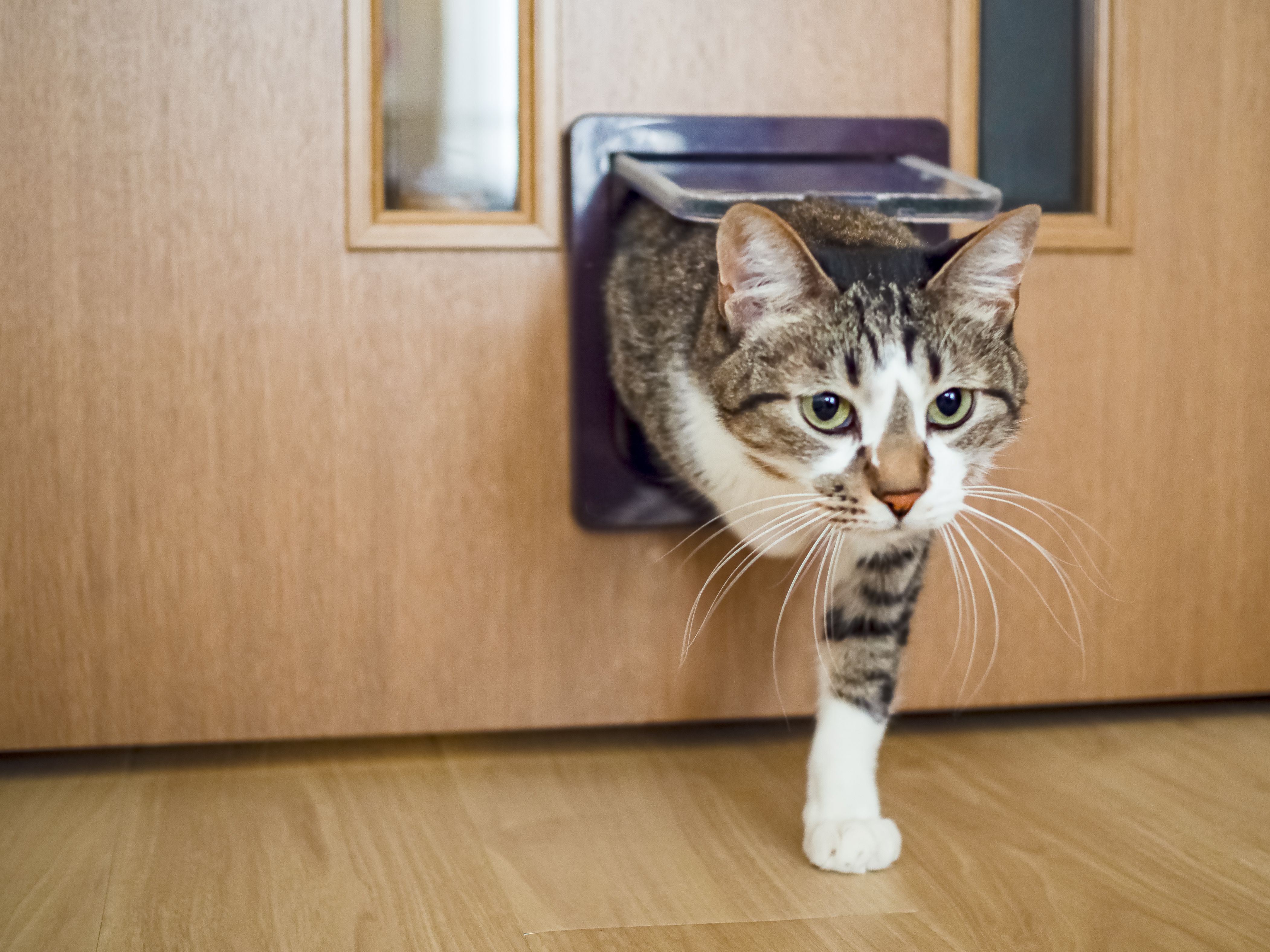 mobility home design