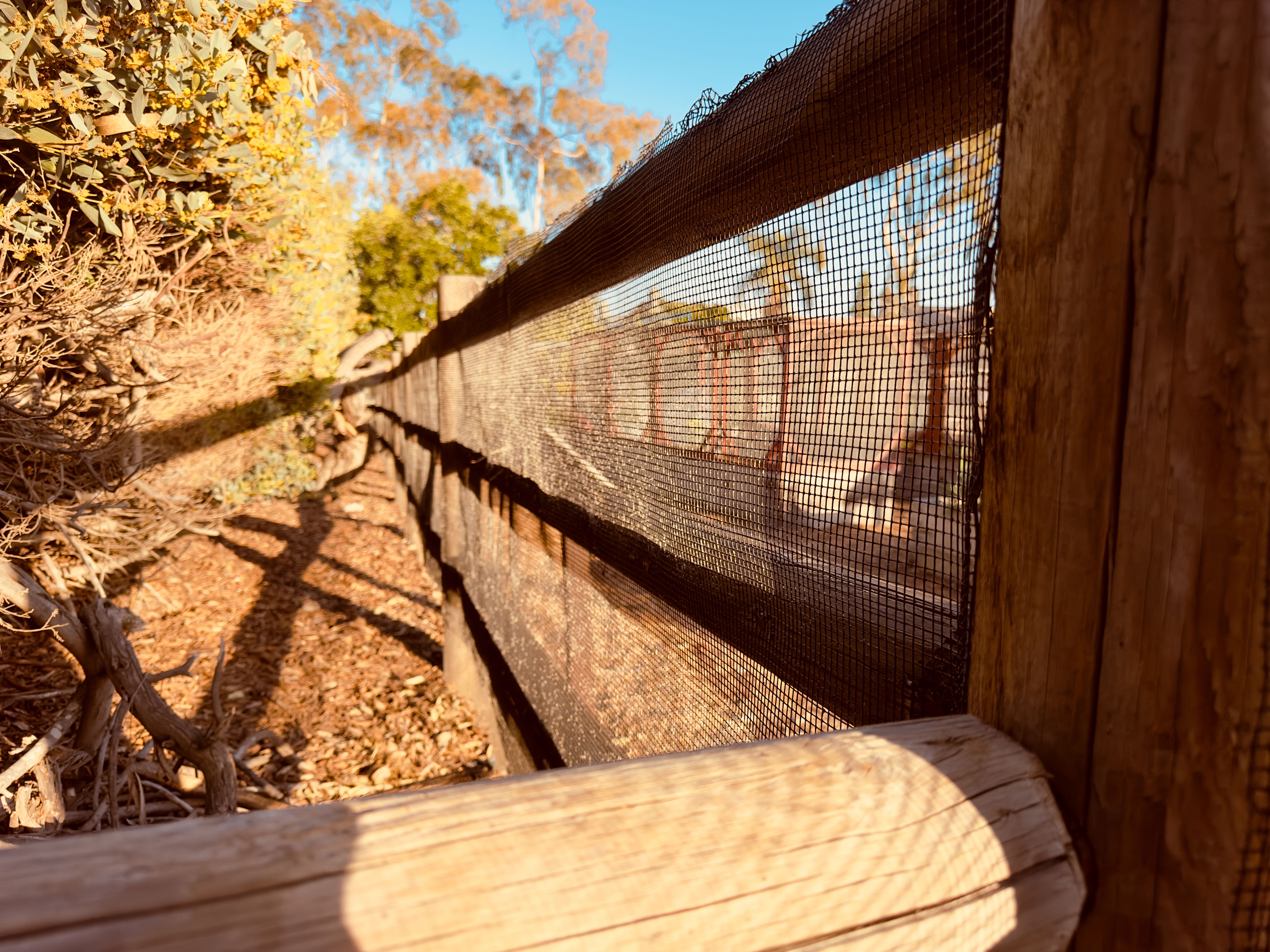 custom fence backyard