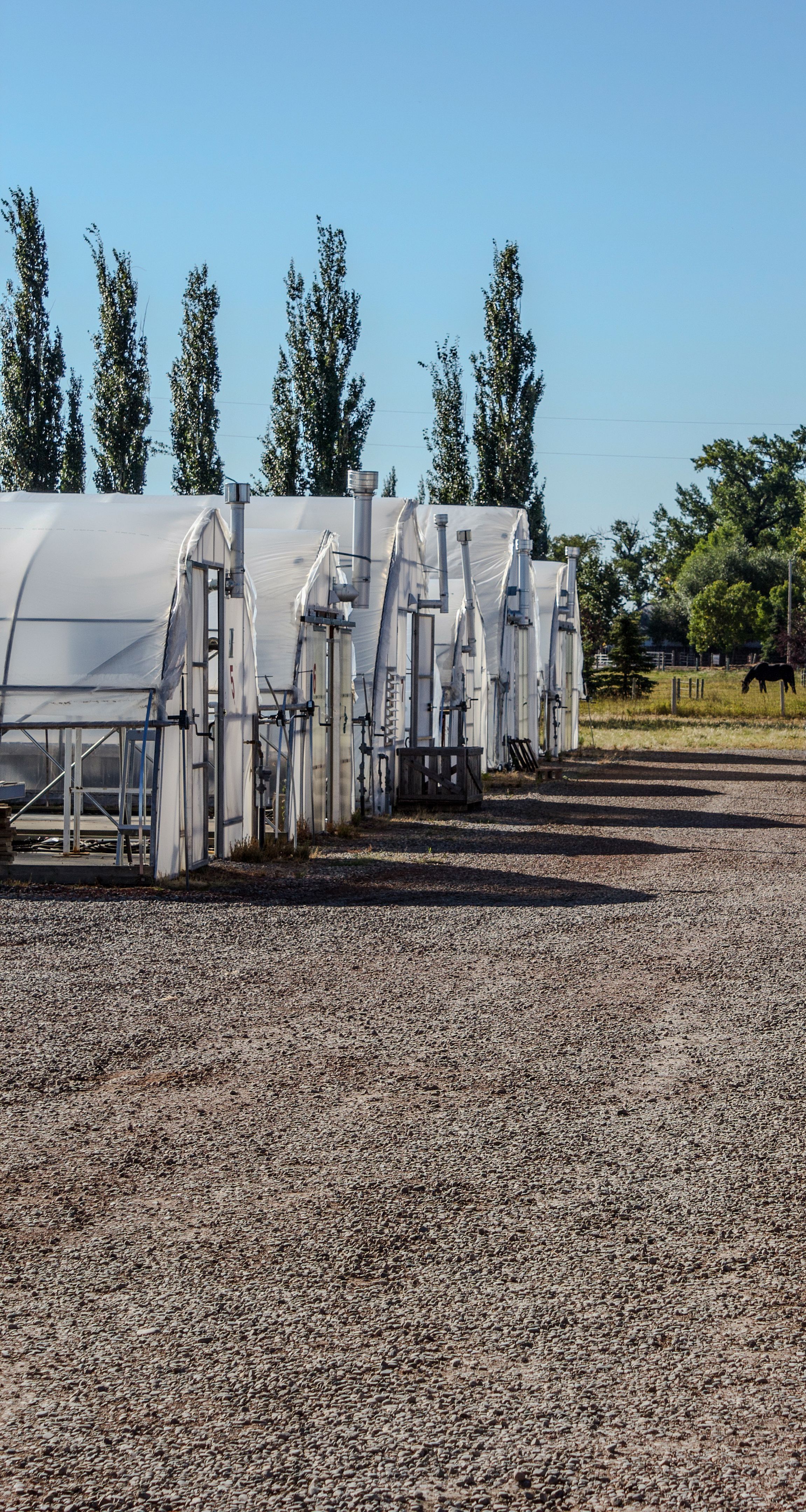 greenhouse climate control