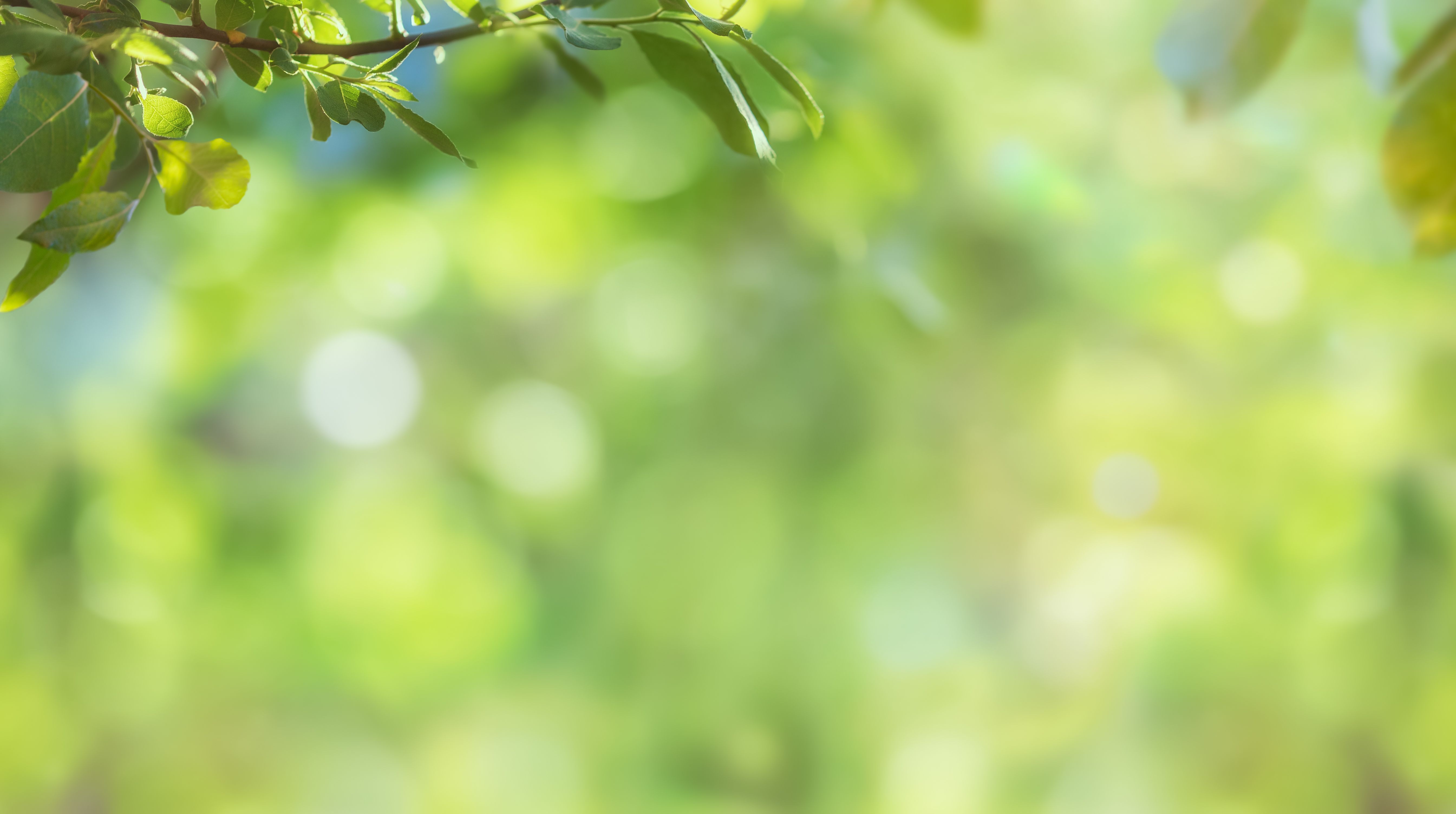 eco friendly invitations