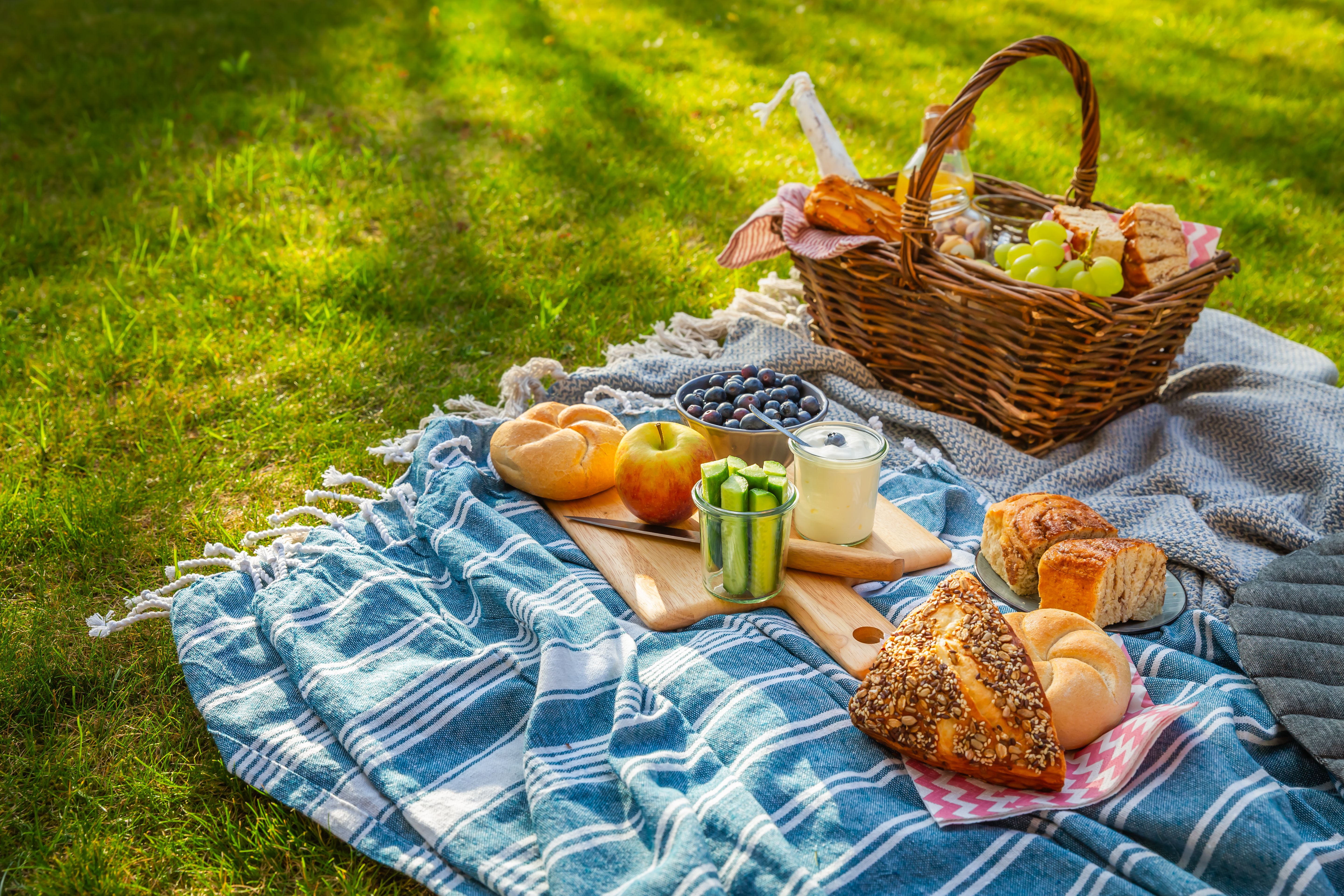 picnic