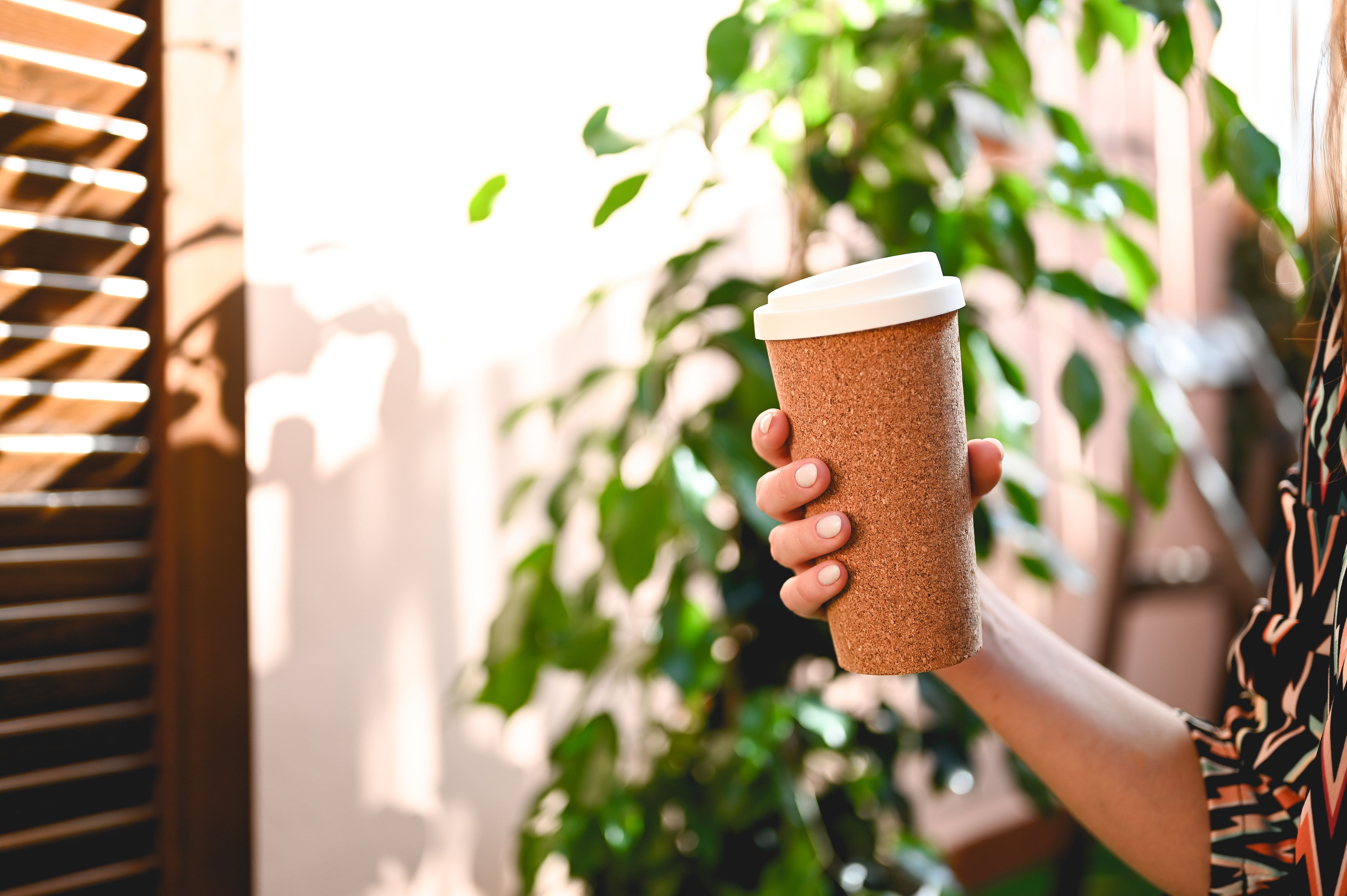 biodegradable coffee cups