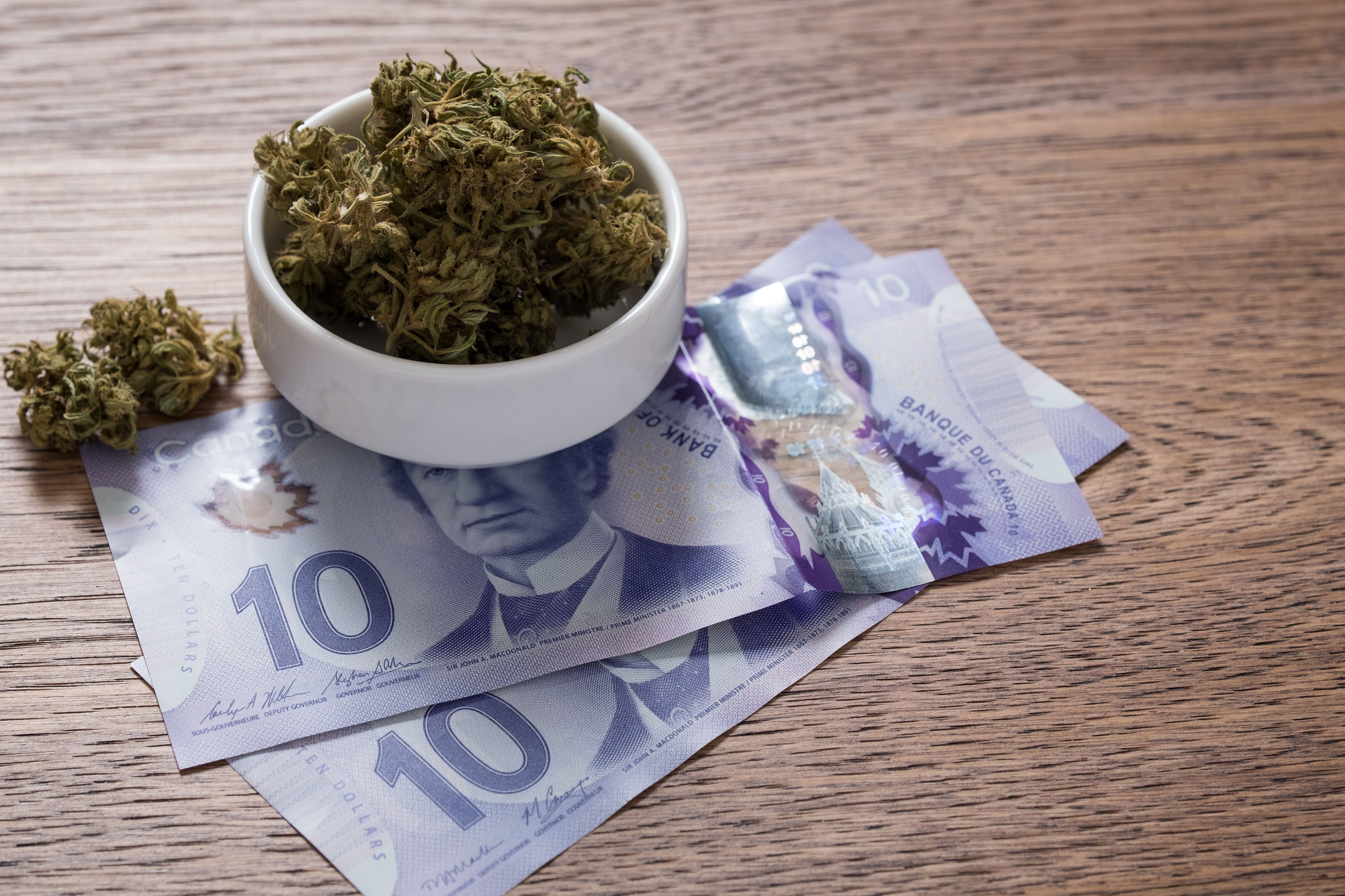 financial planning cannabis