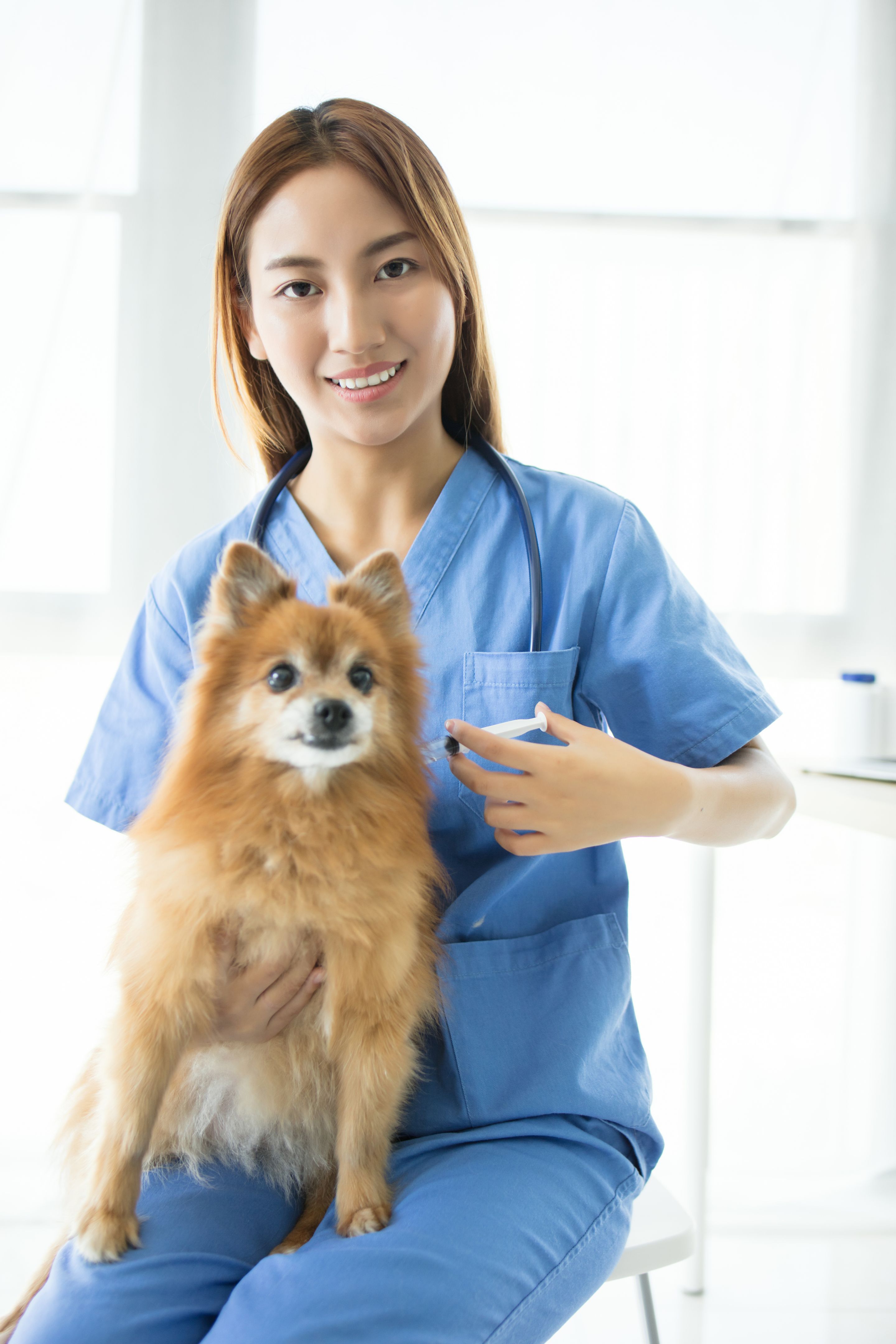 affordable education