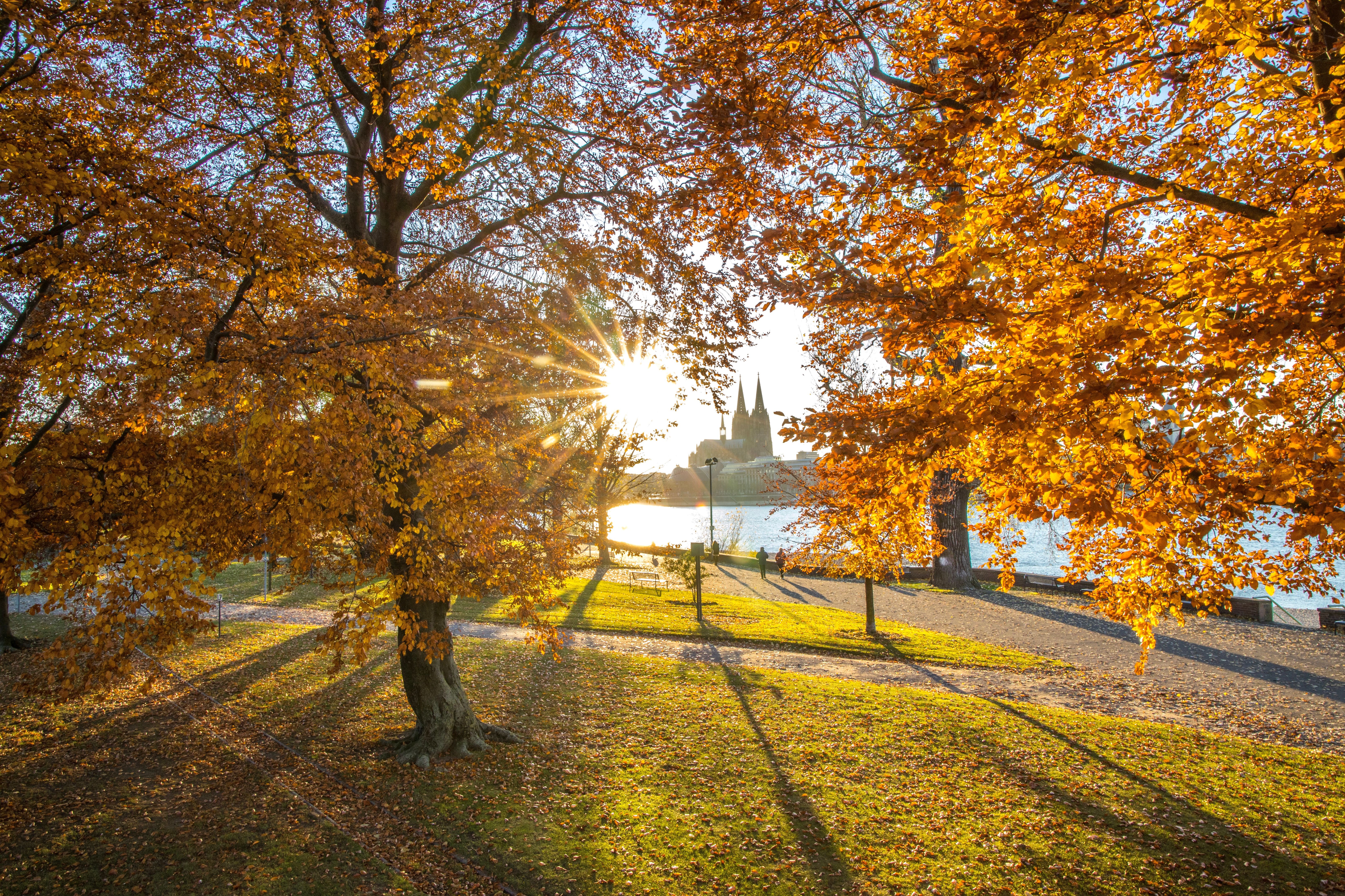 Cologne park