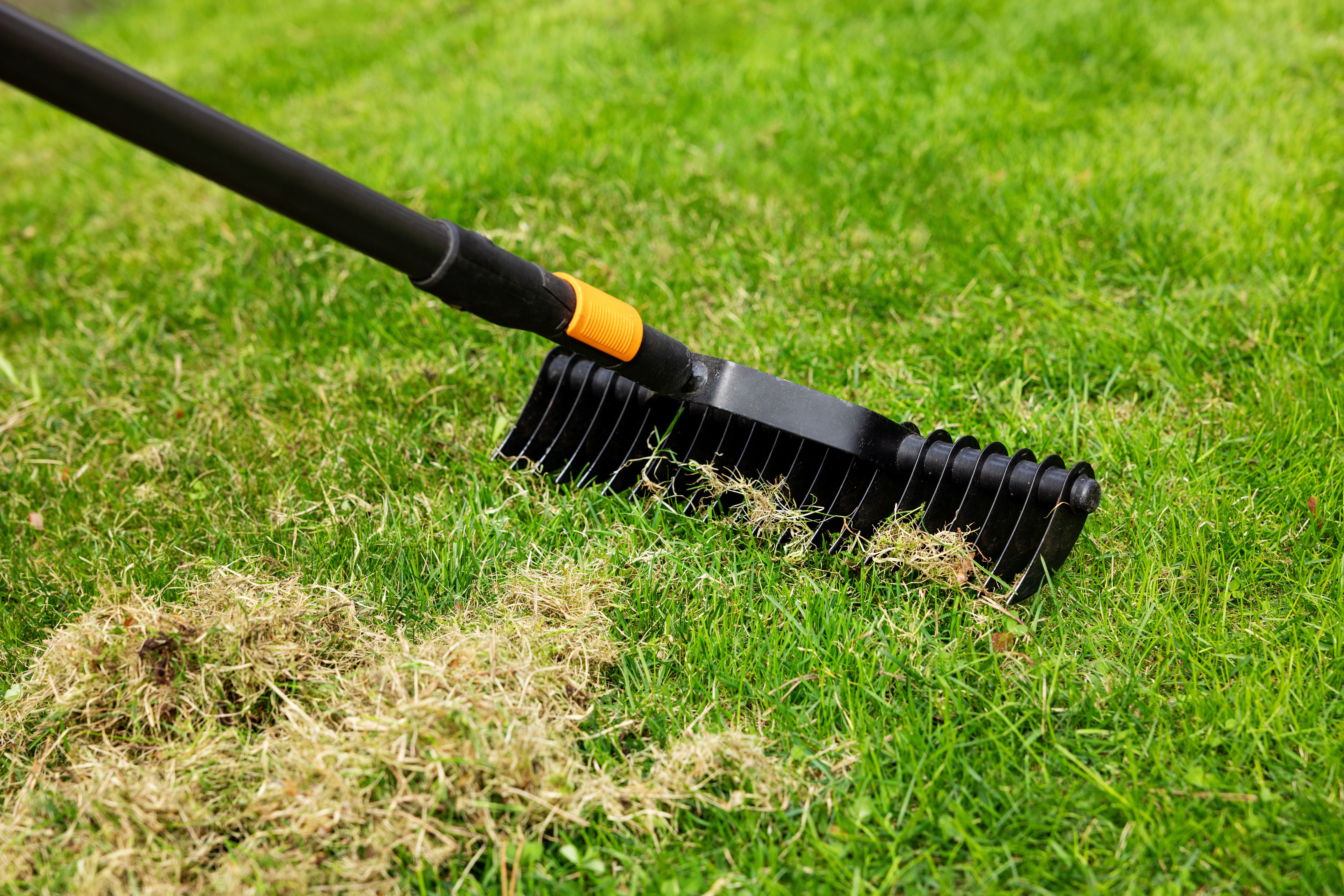 lawn aeration