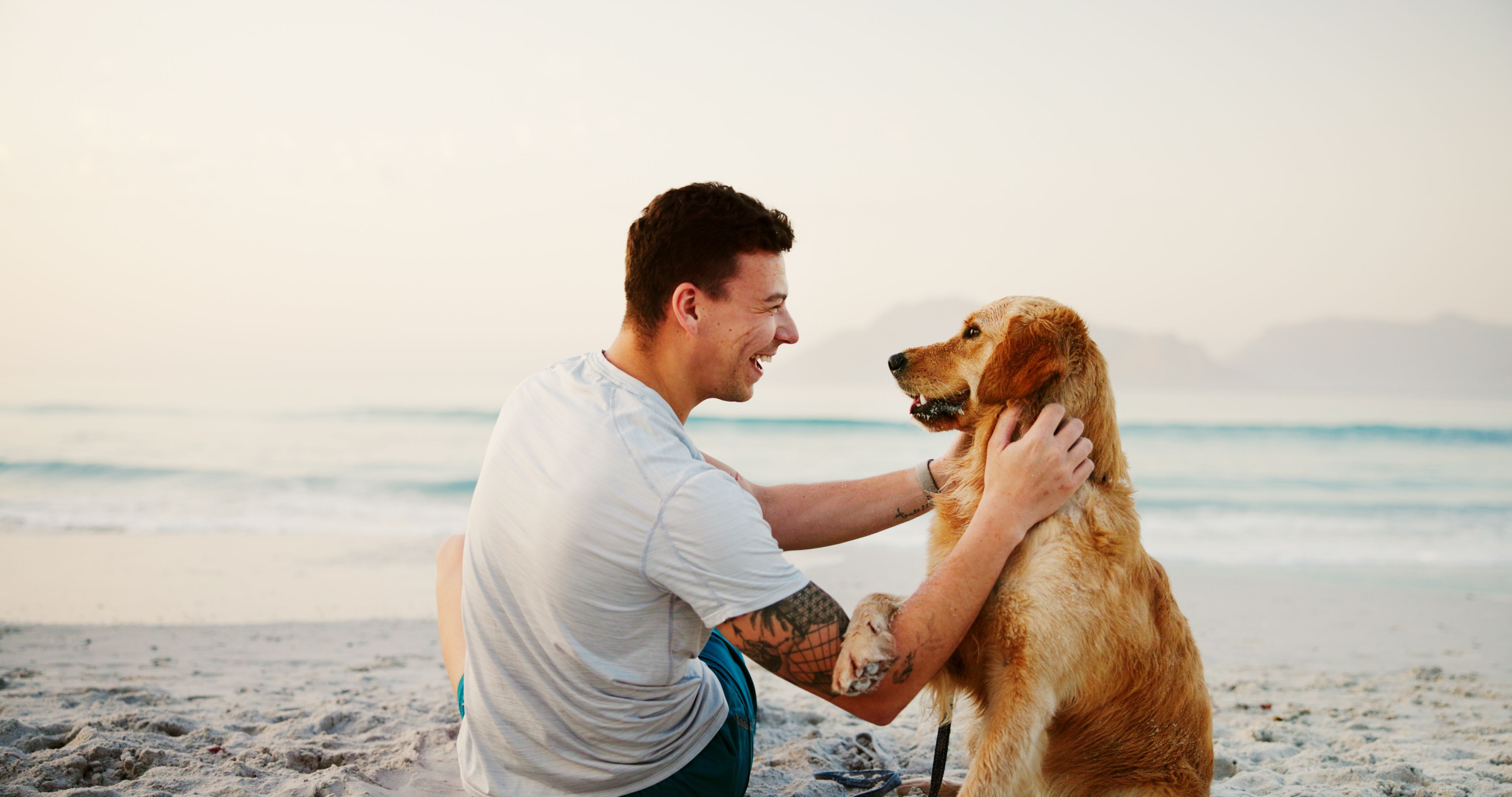 happy pet