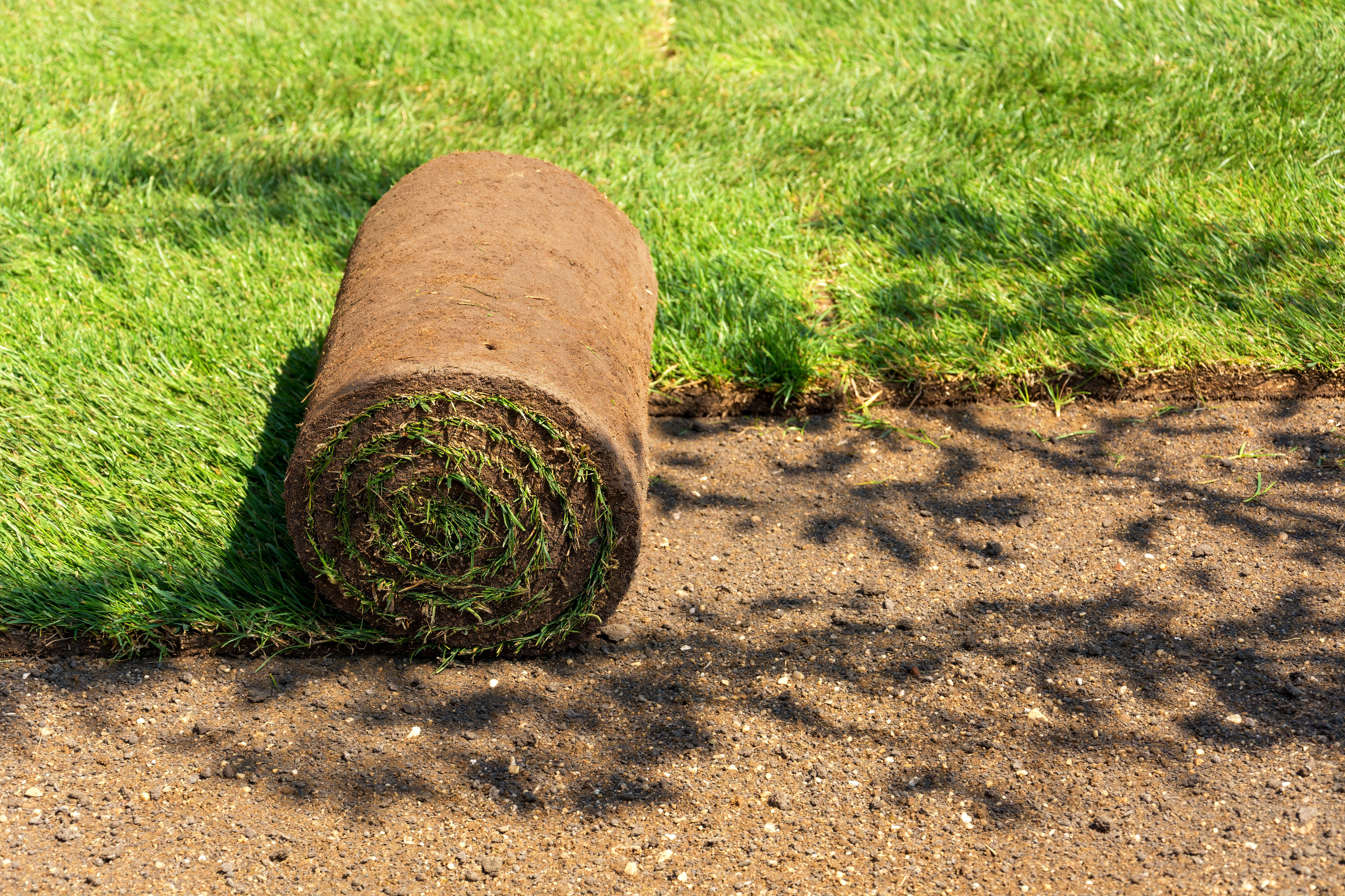 sod installation