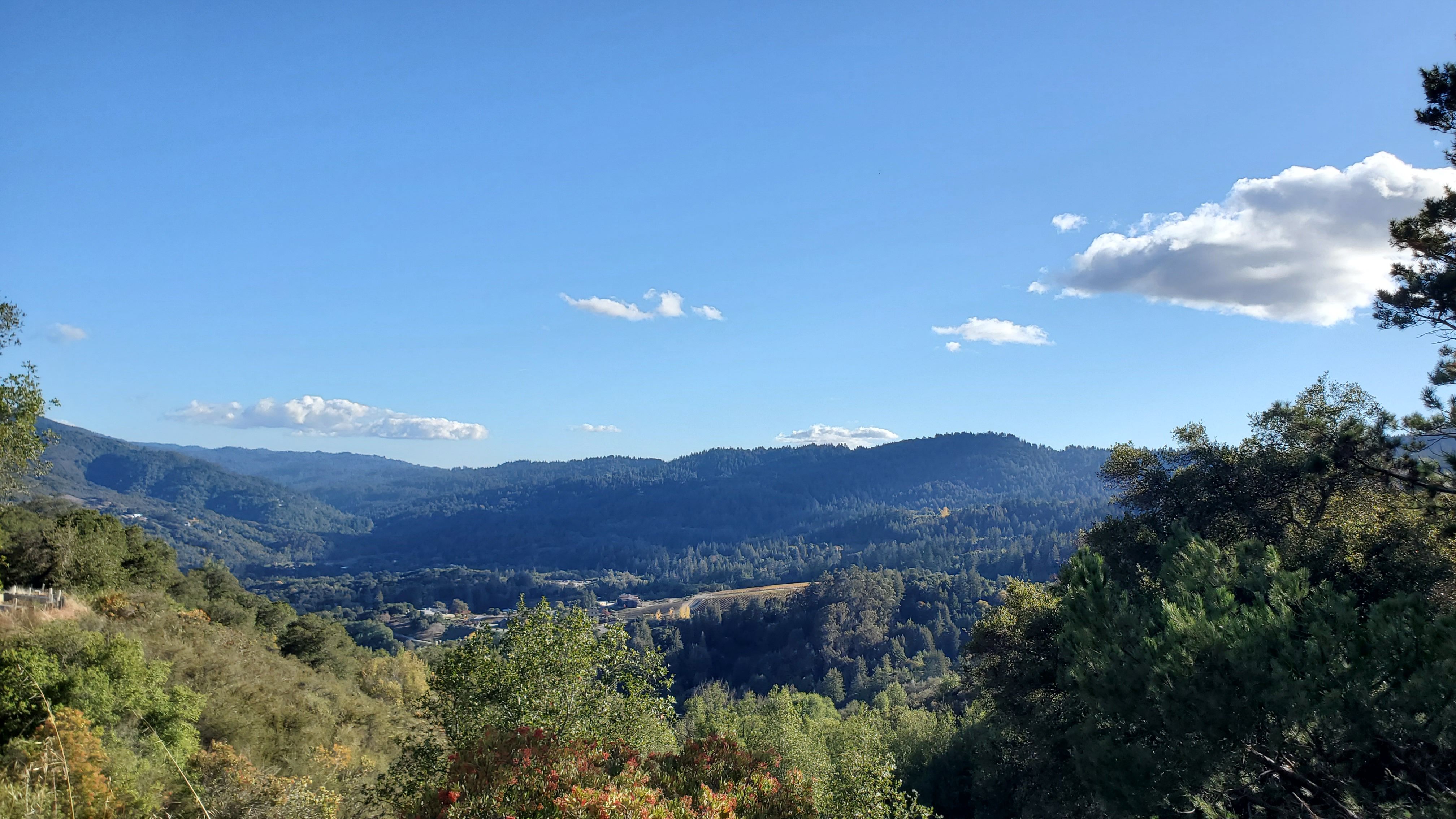 amador county reviews