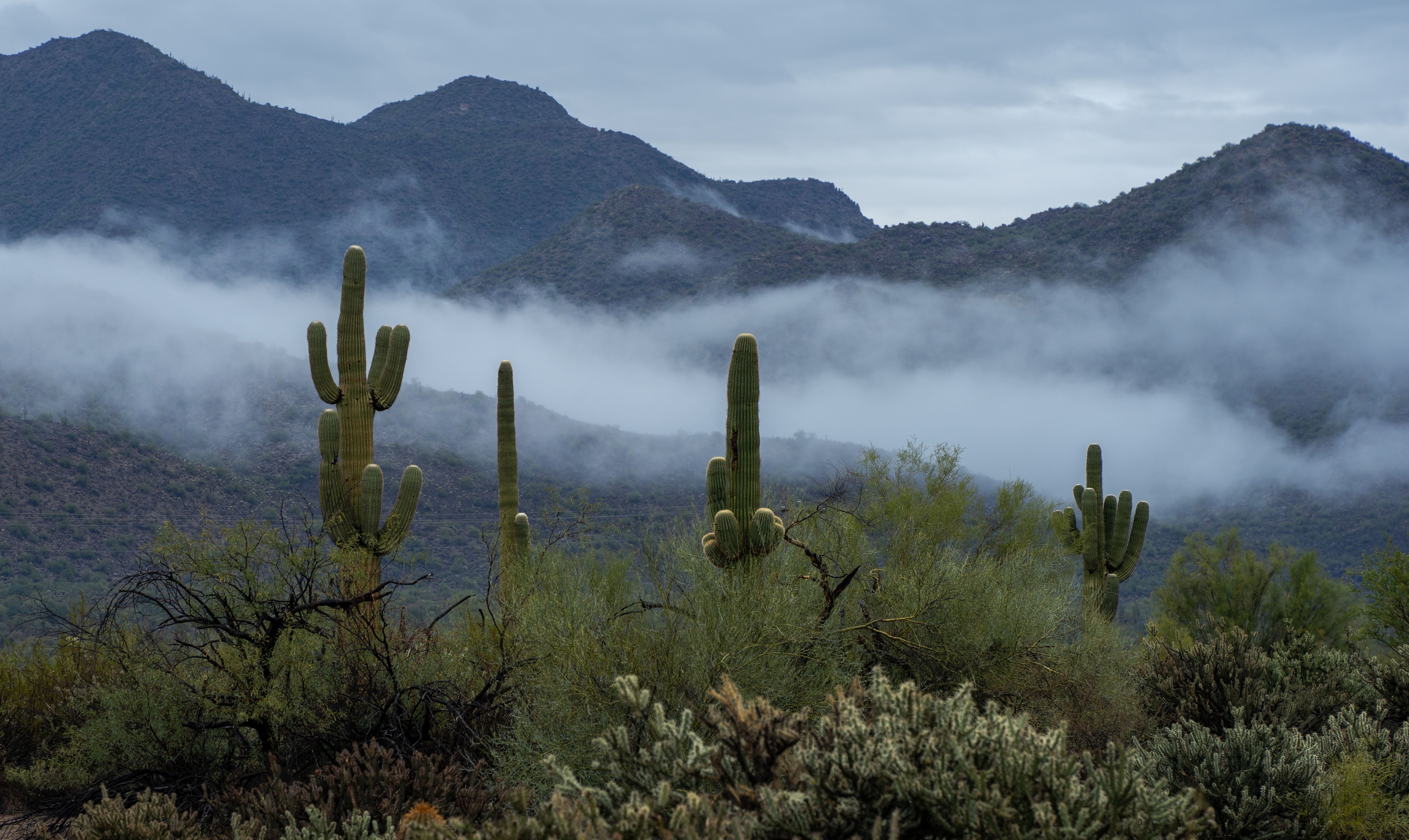 Low clouds over sonoran desert mountains after winter rainstorm Low clouds over sonoran desert mountains after winter rainstorm