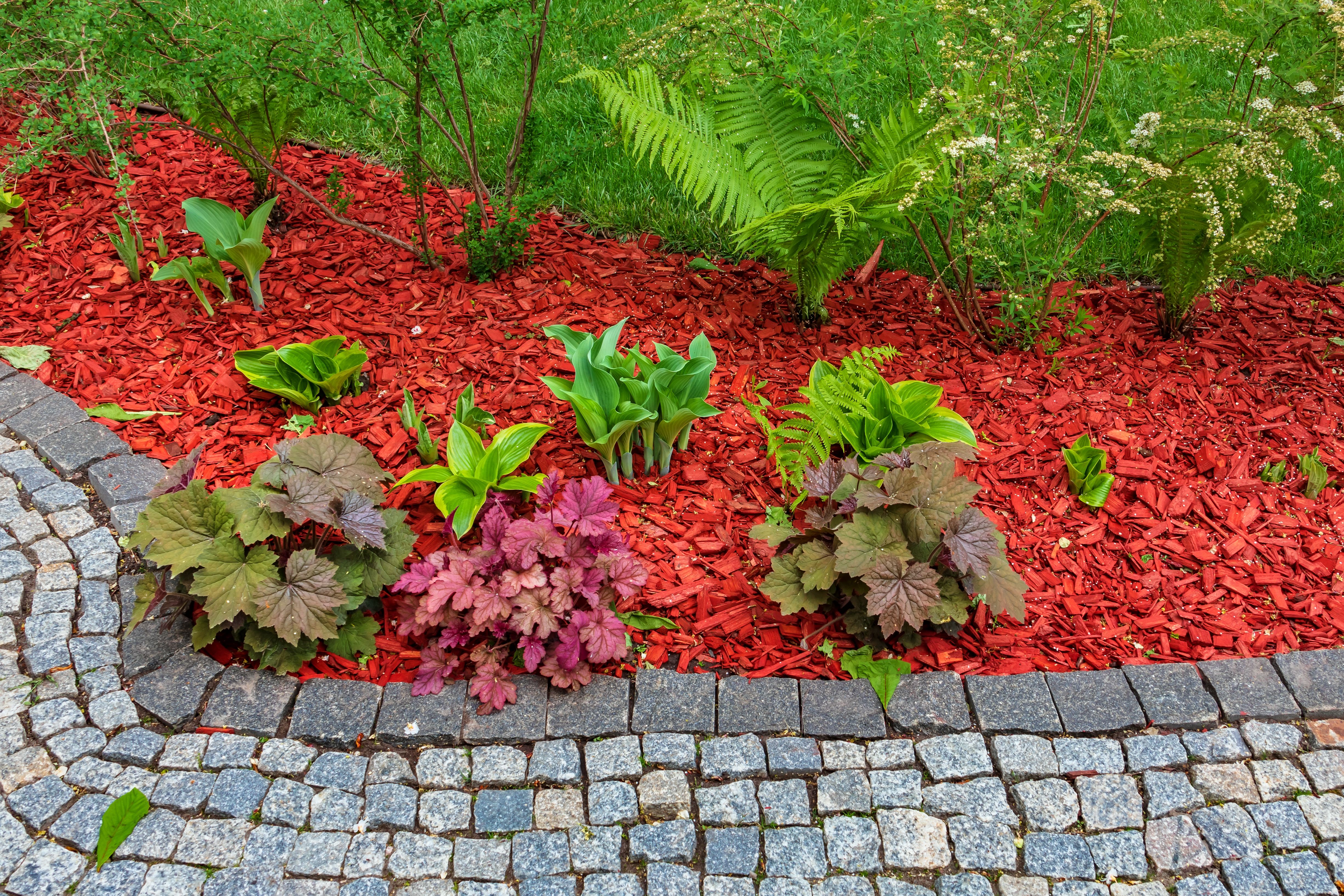 mulching garden