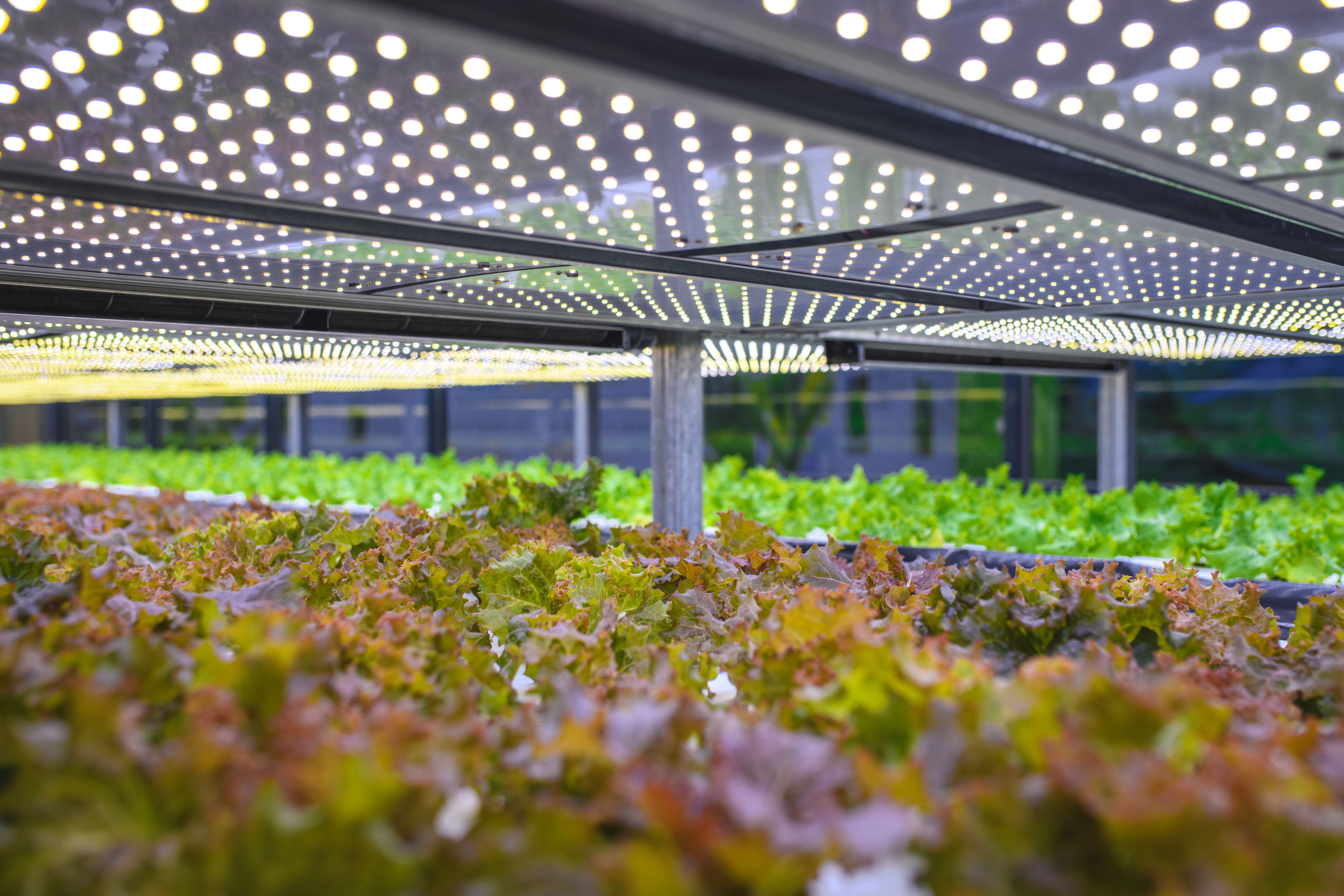 sustainable farming