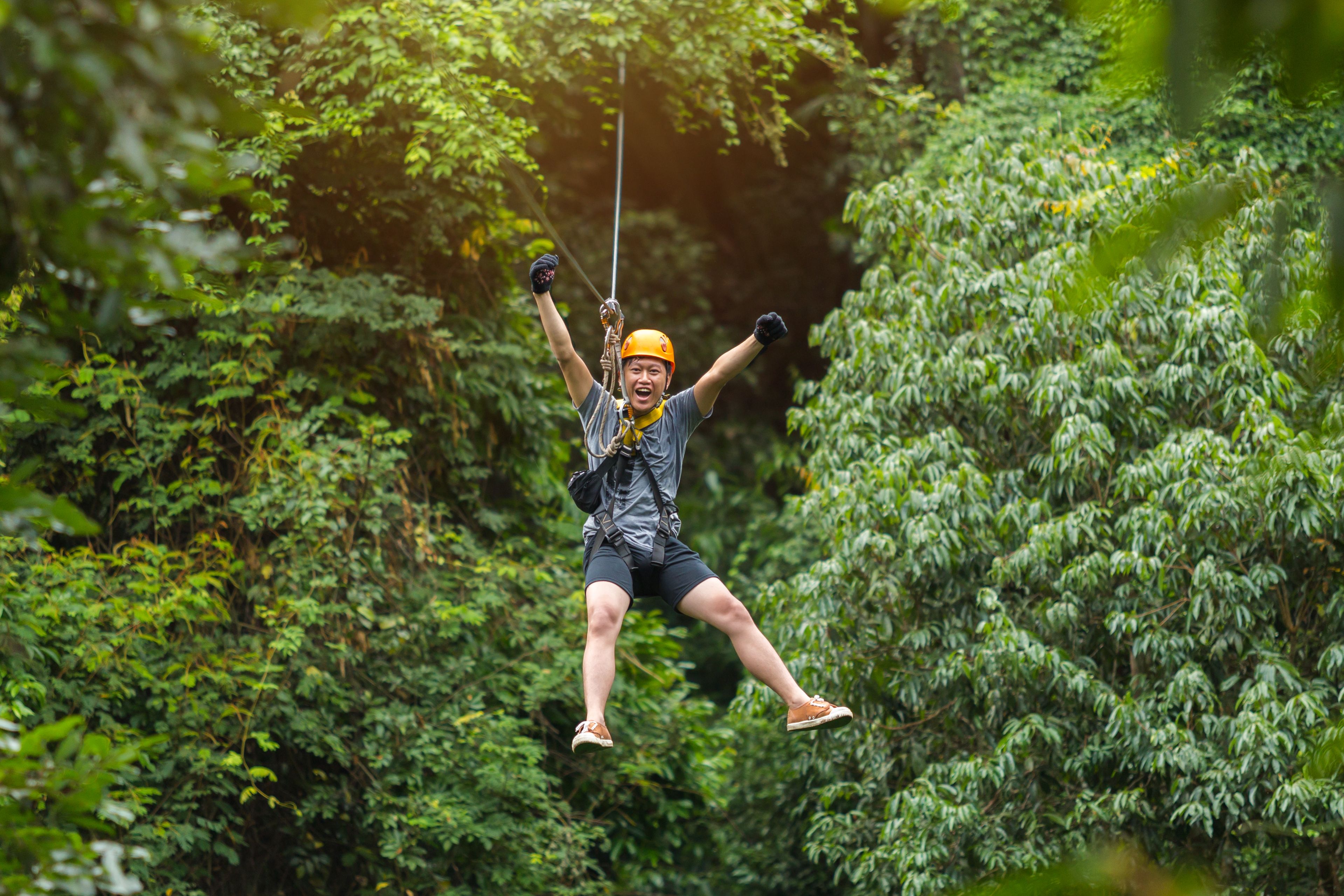 zip lining canopy