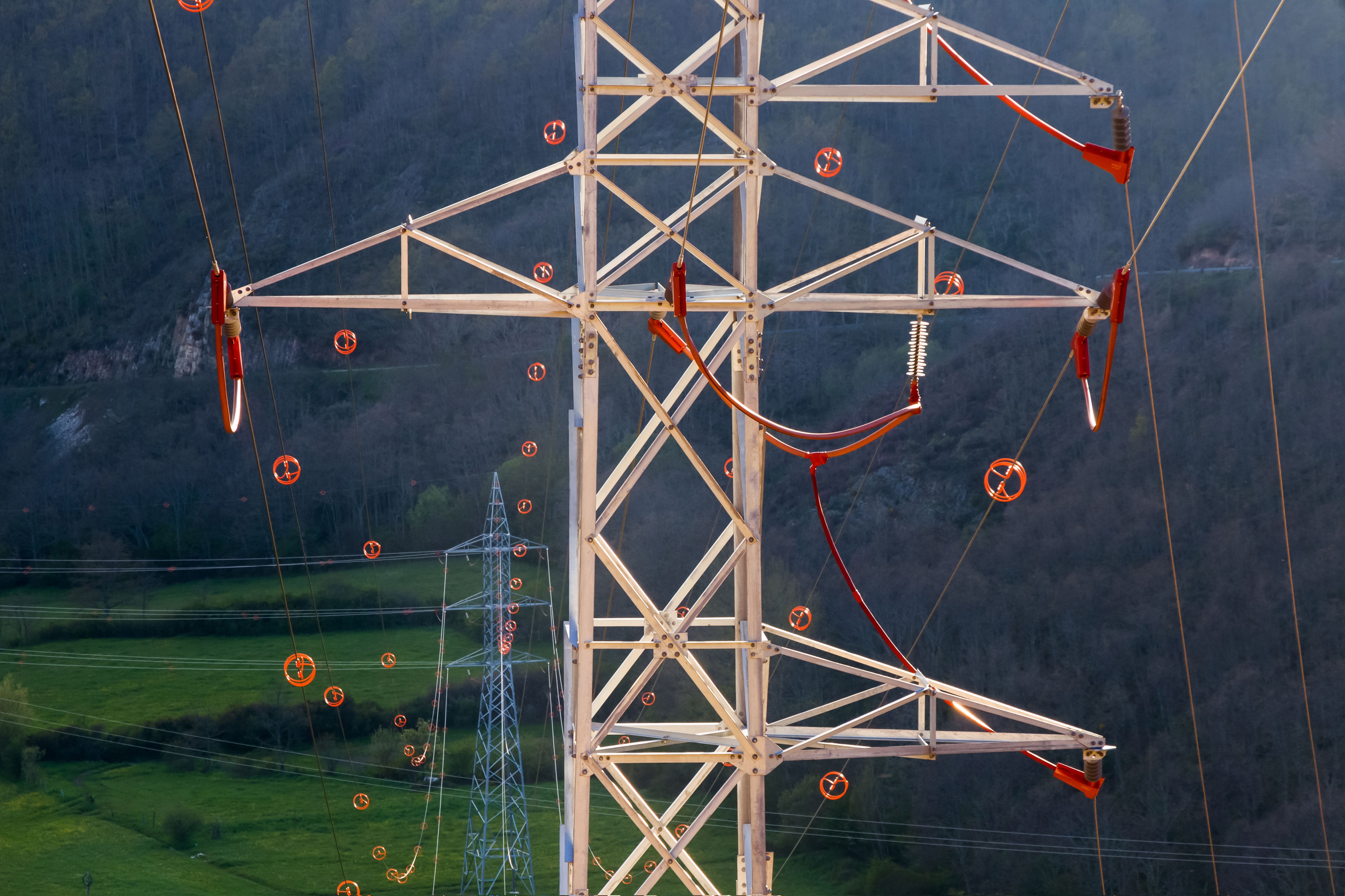 bird flight diverter