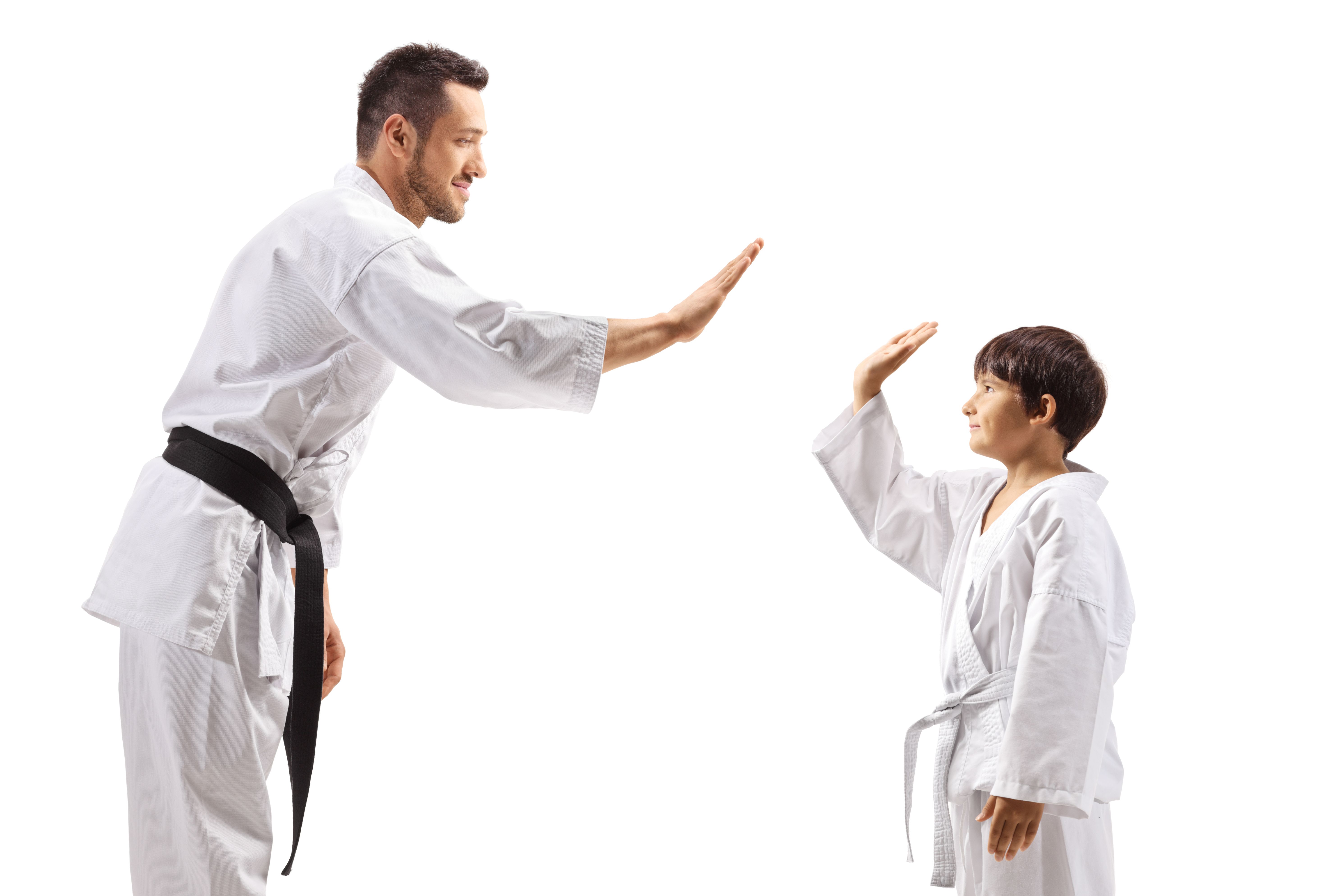 parent-child martial arts