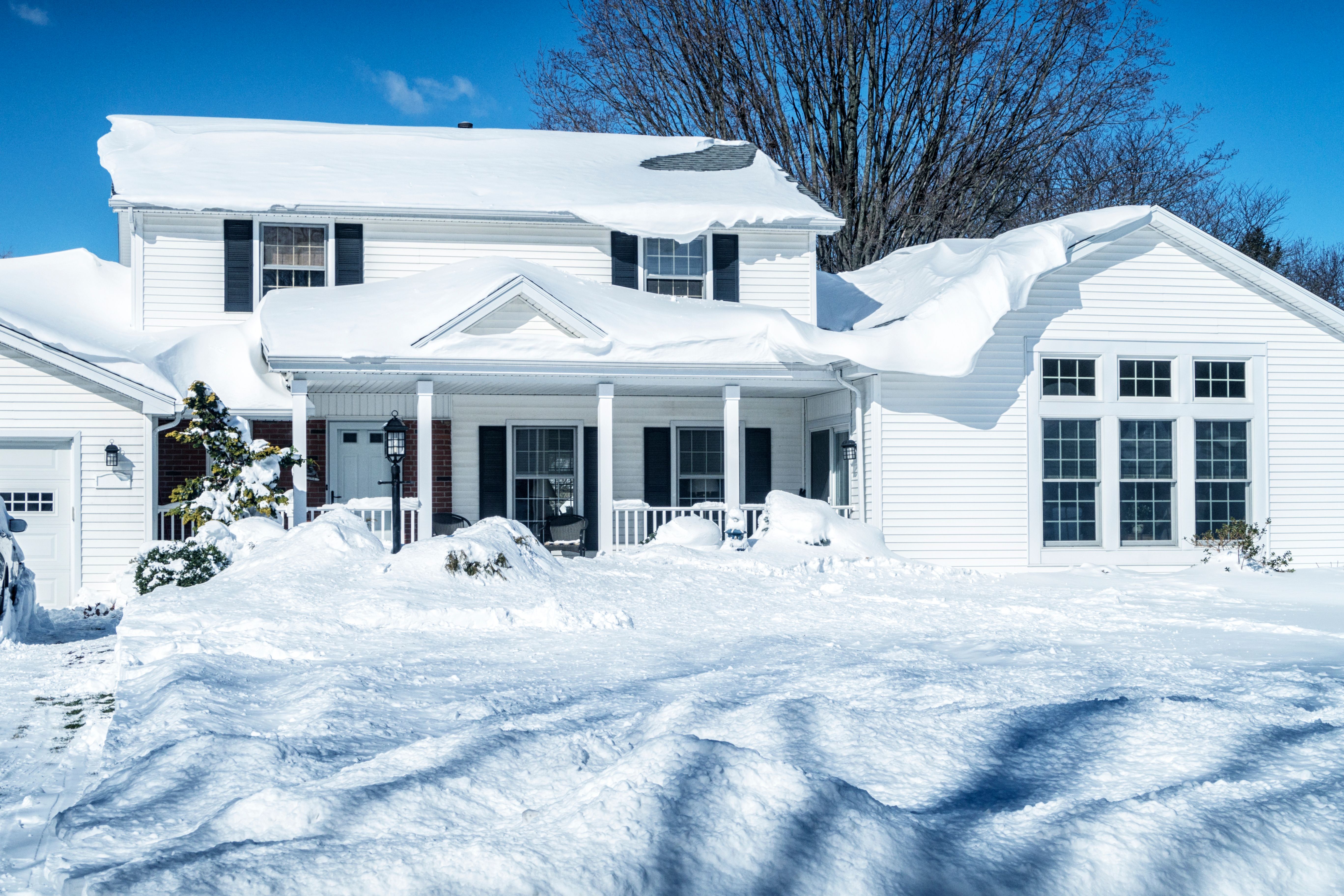 snow covered garden