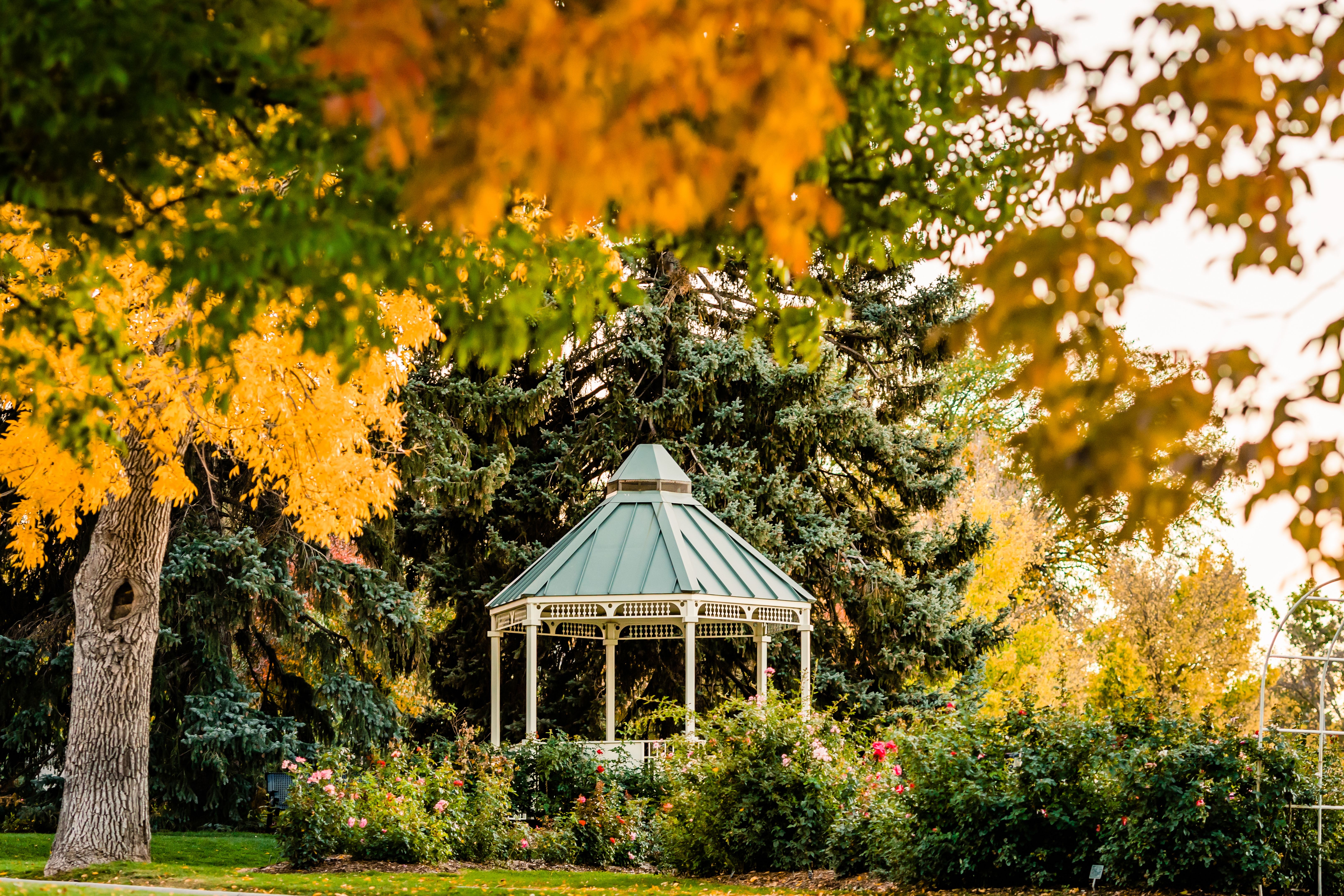 colorado backyard pergola