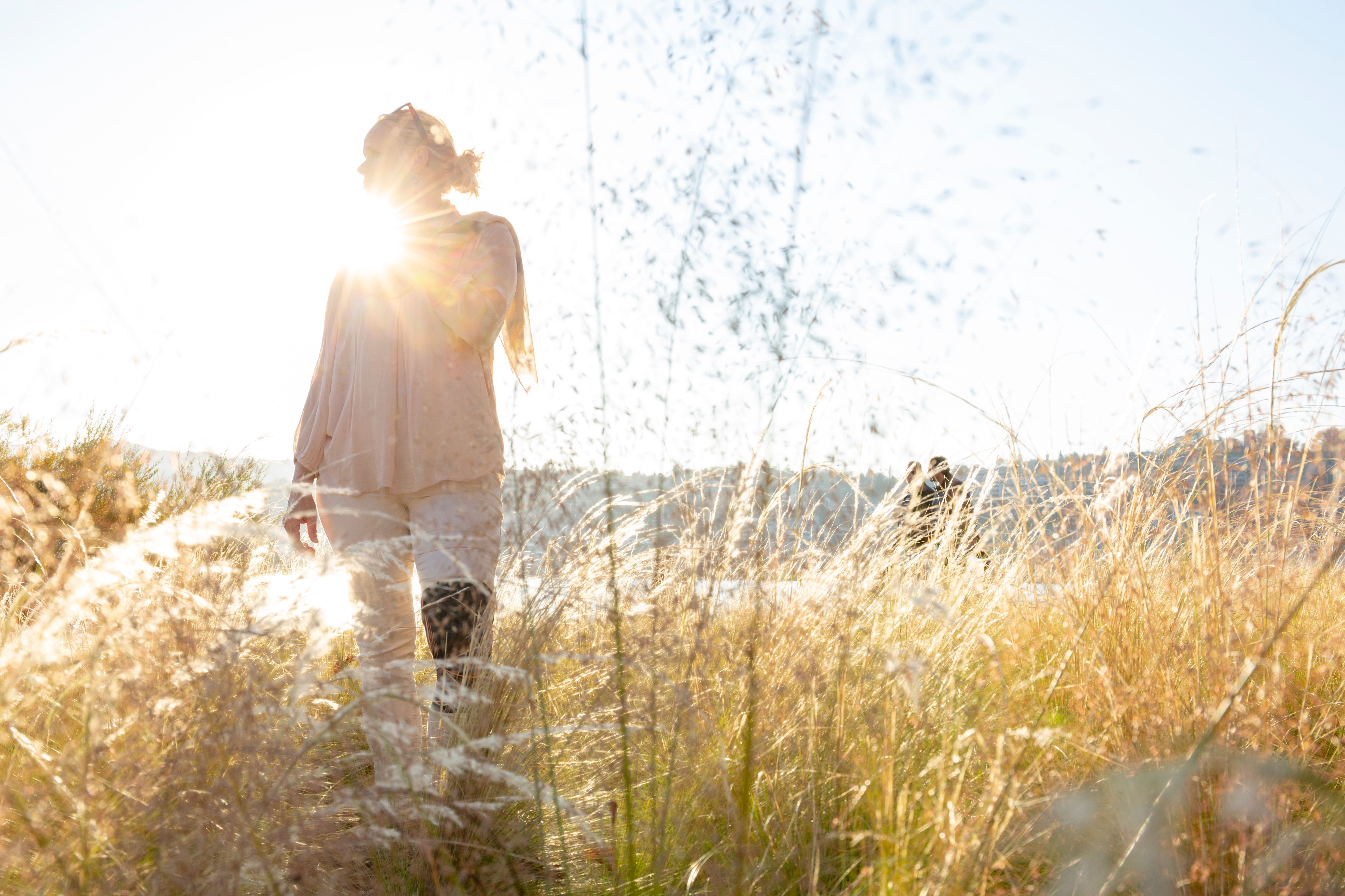 Woman walks through gassy meadow at sunrise Woman walks through gassy meadow at sunrise