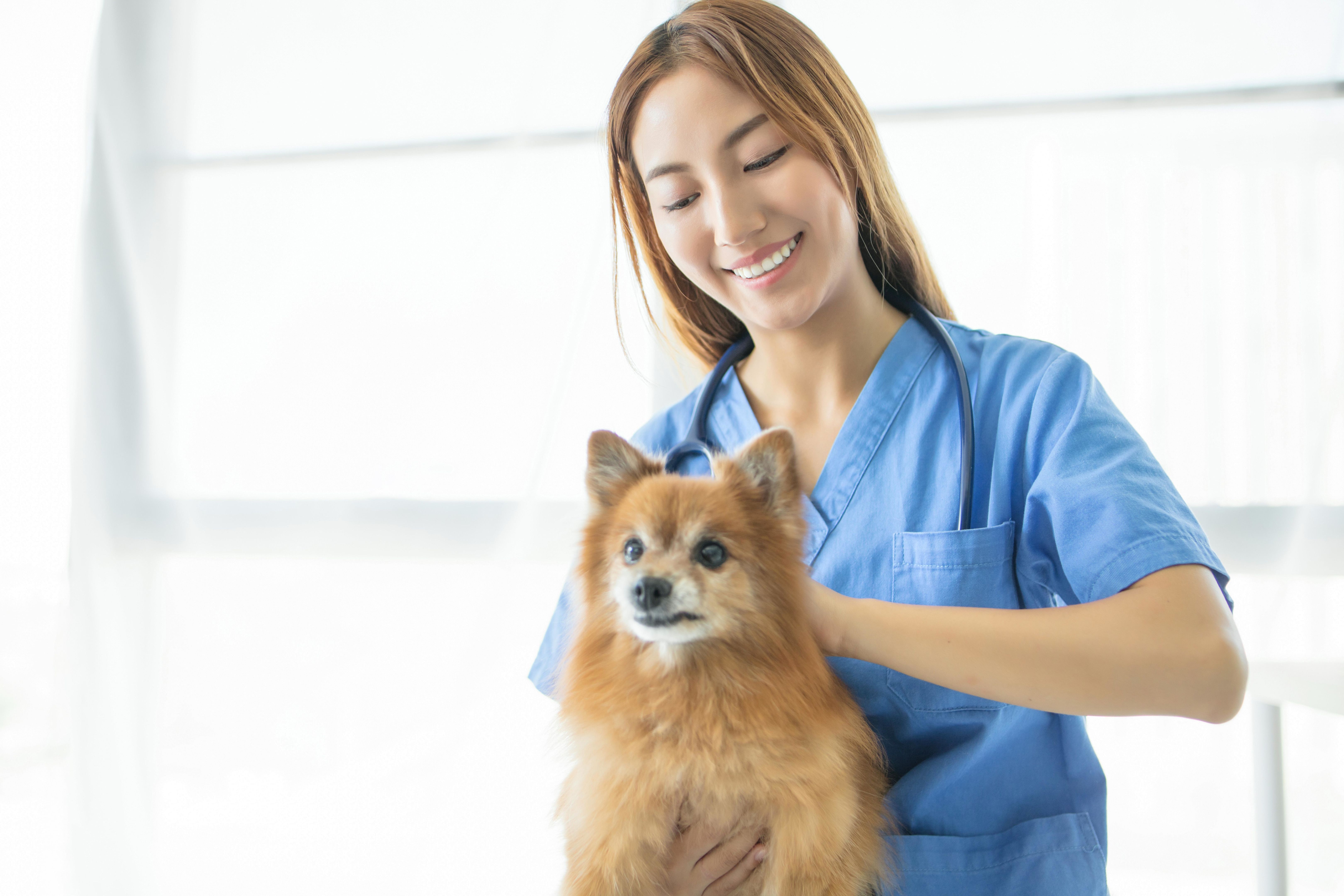 affordable education