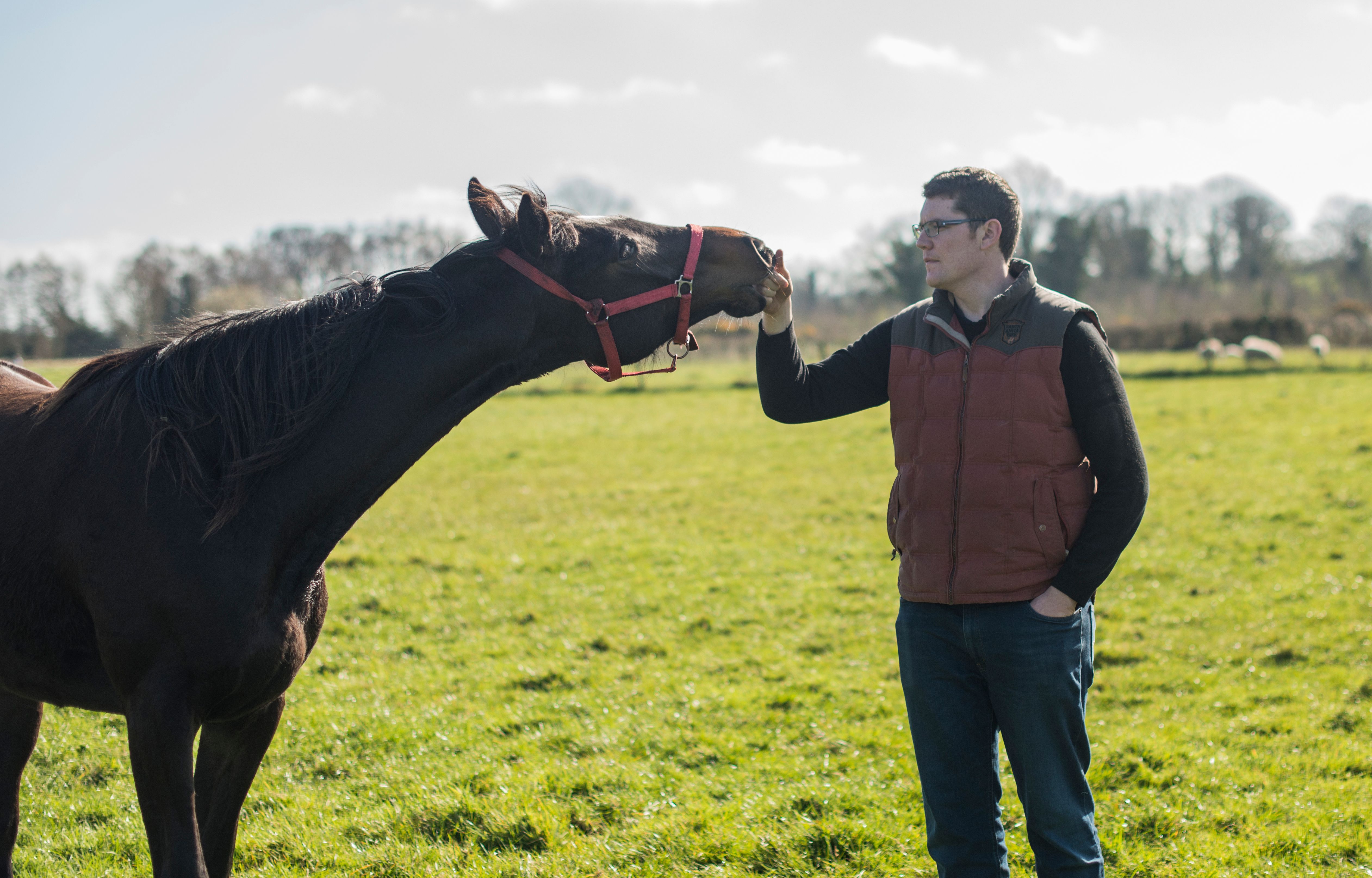 Horse trainer in his yard with thoroughbred race horse, Roscommon, Ireland. Horse trainer in his yard with thoroughbred race horse, Roscommon, Ireland.