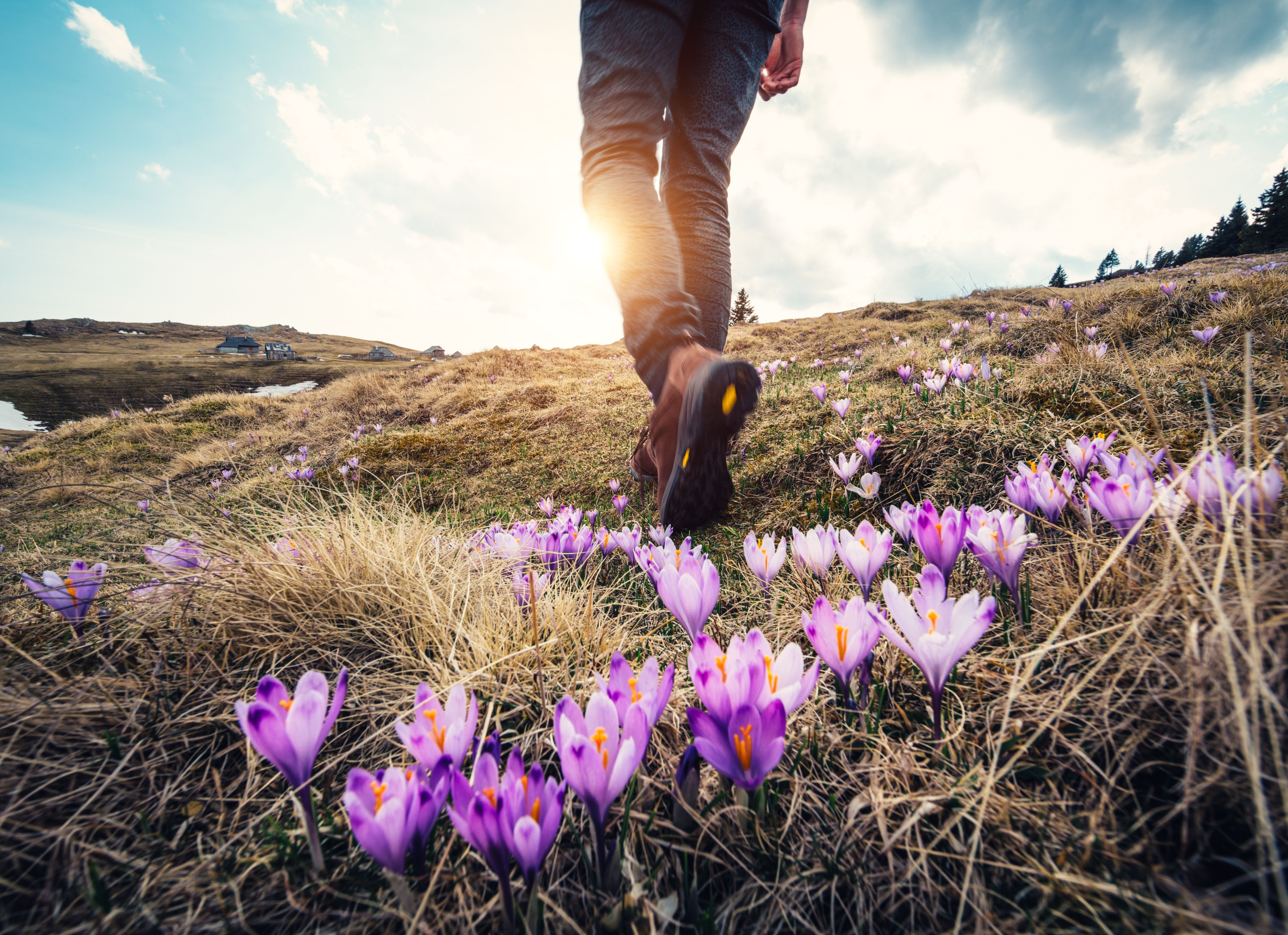 spring exercise
