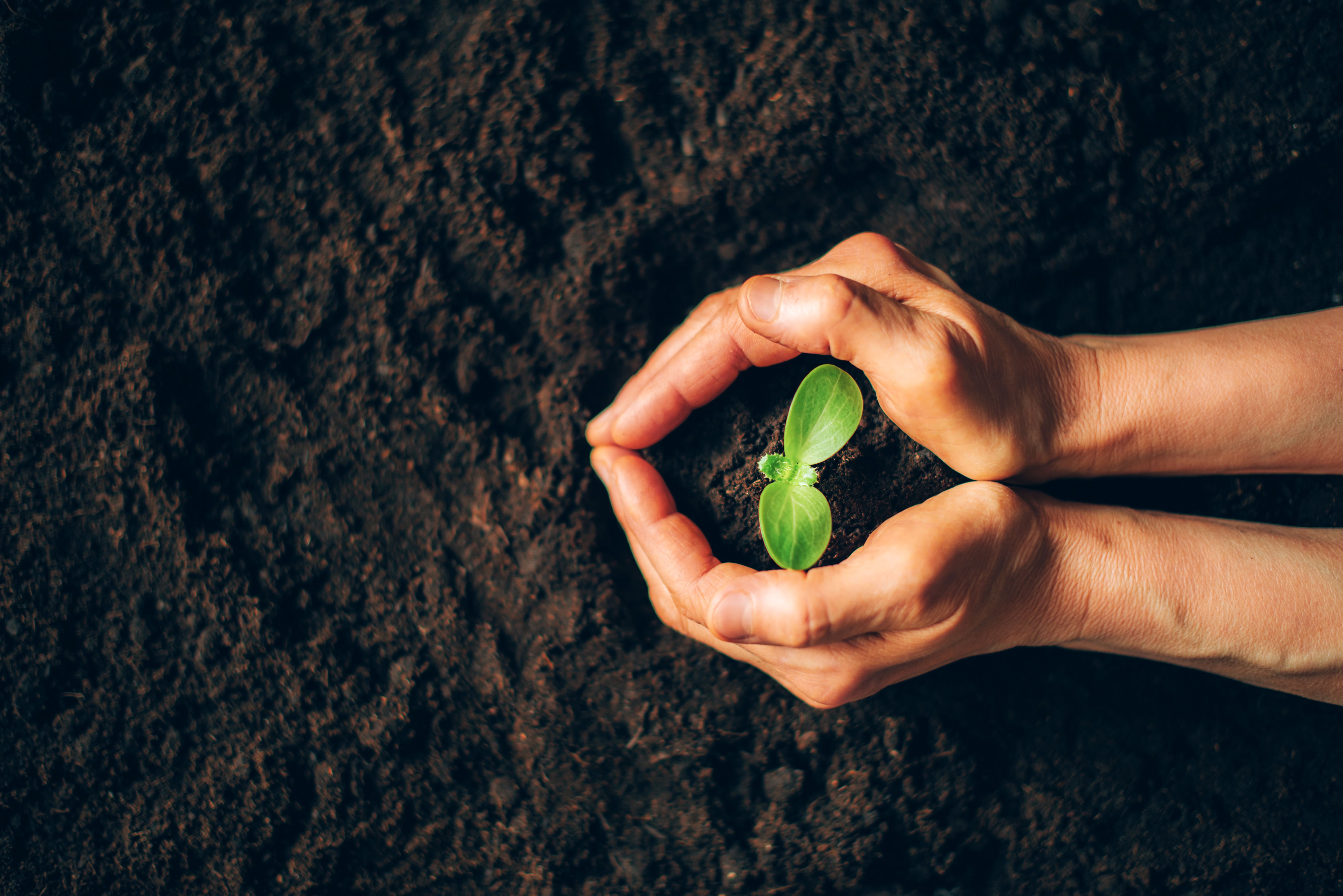 Comprar casa con jardin en Cumbayá Comprar casa con jardin en Cumbayá