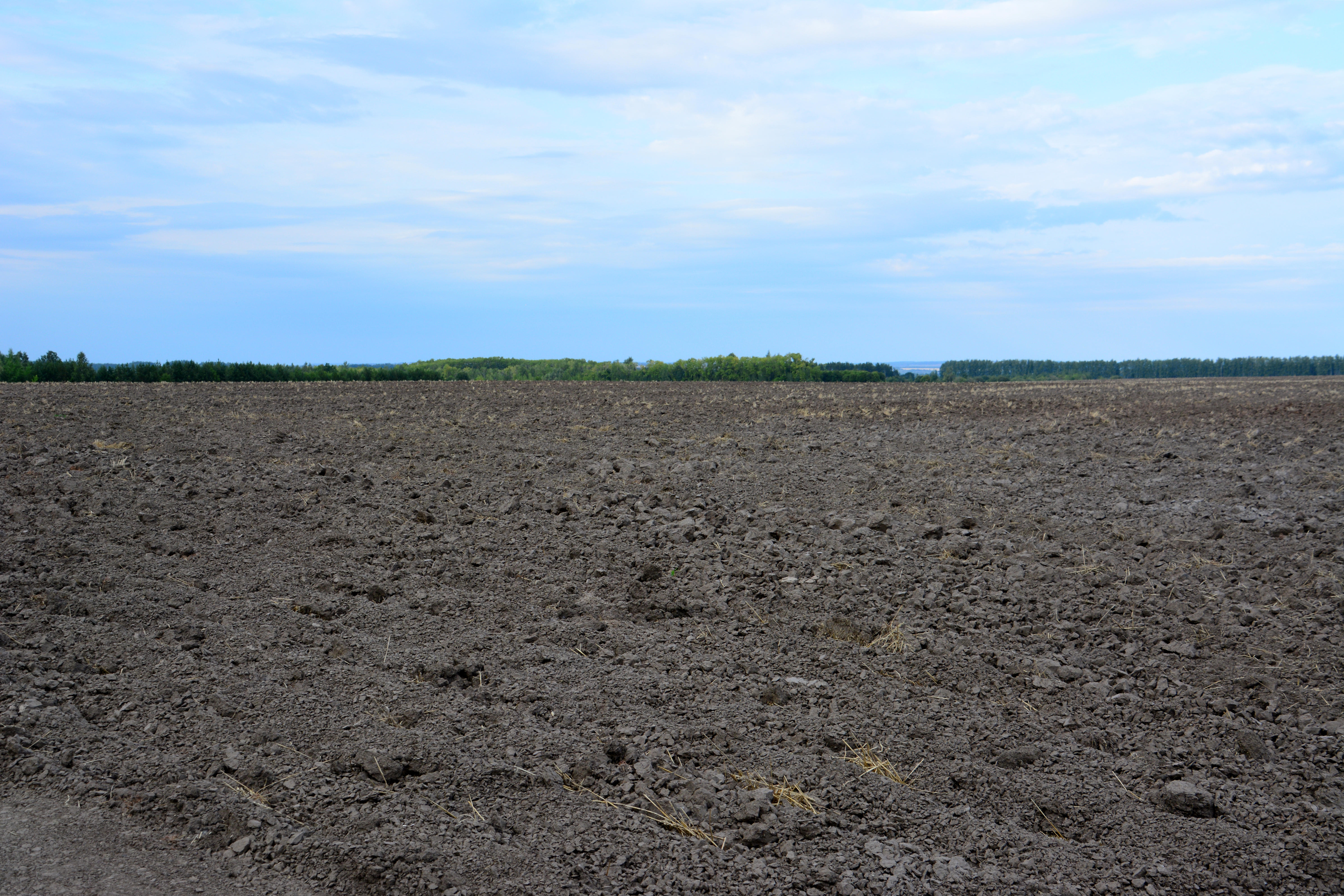 an empty plowed field with a blue sky on the background an empty plowed field with a blue sky on the background