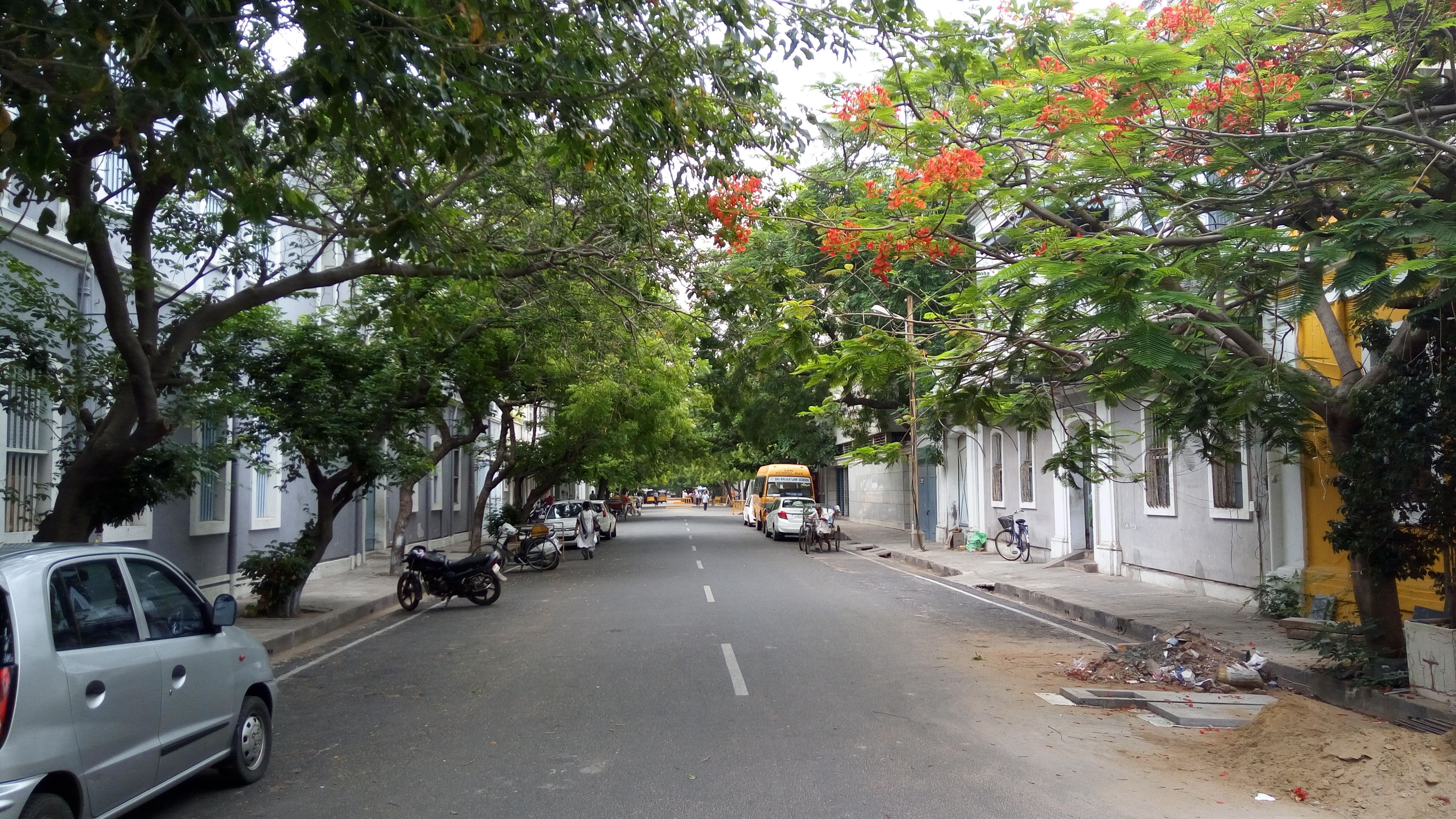 jayanagar street