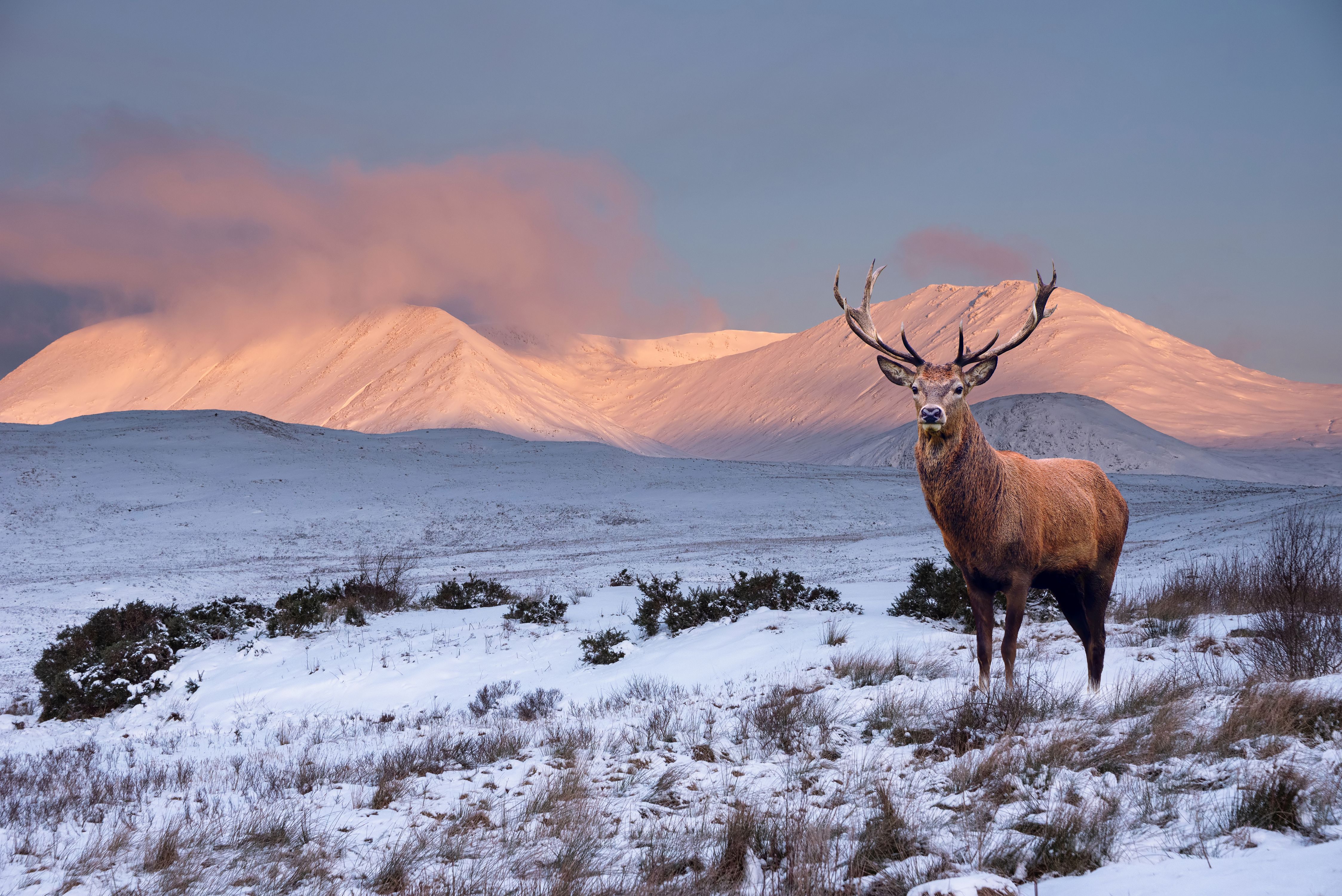 highlands winter