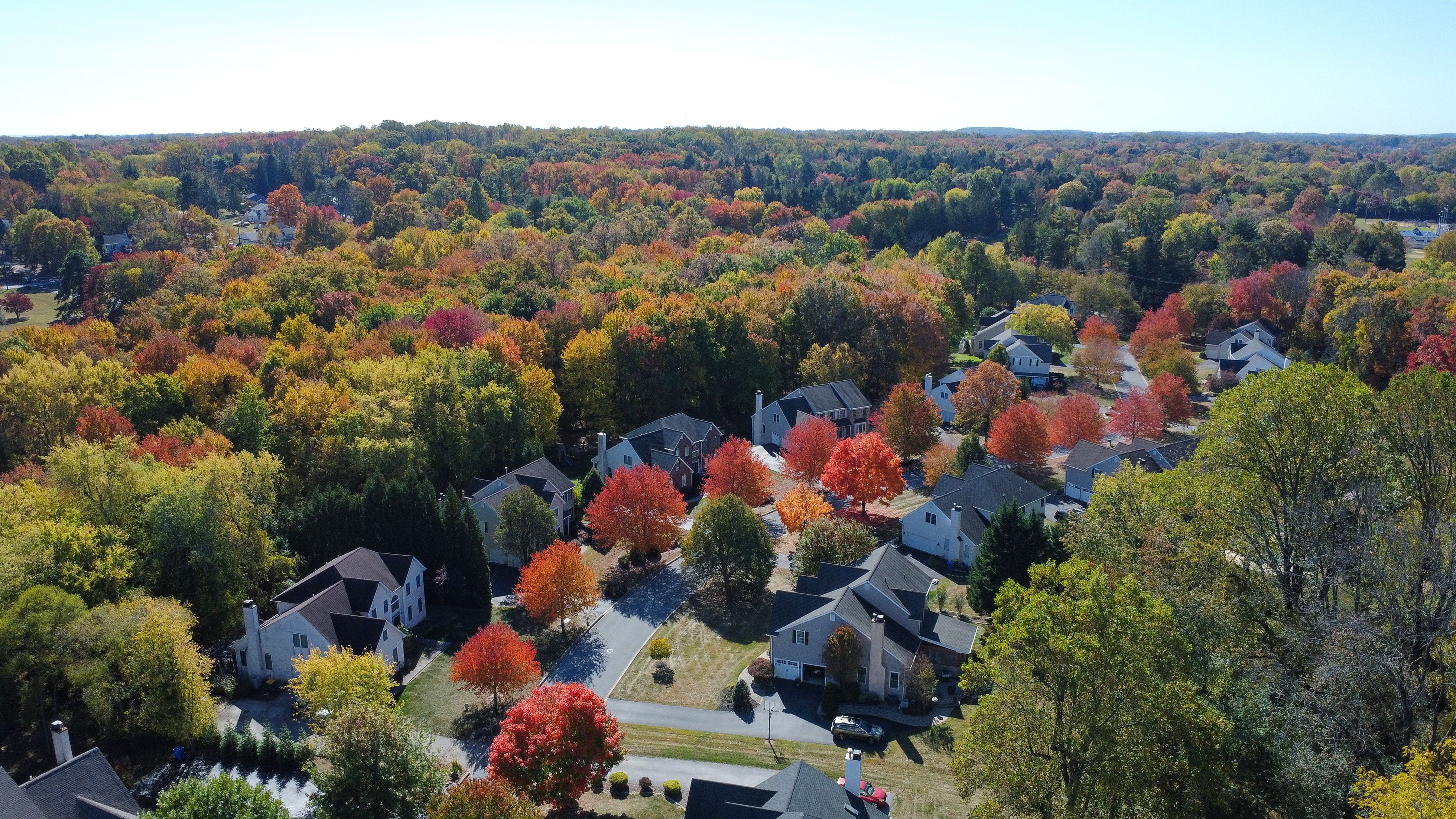 autumn leaves Philadelphia
