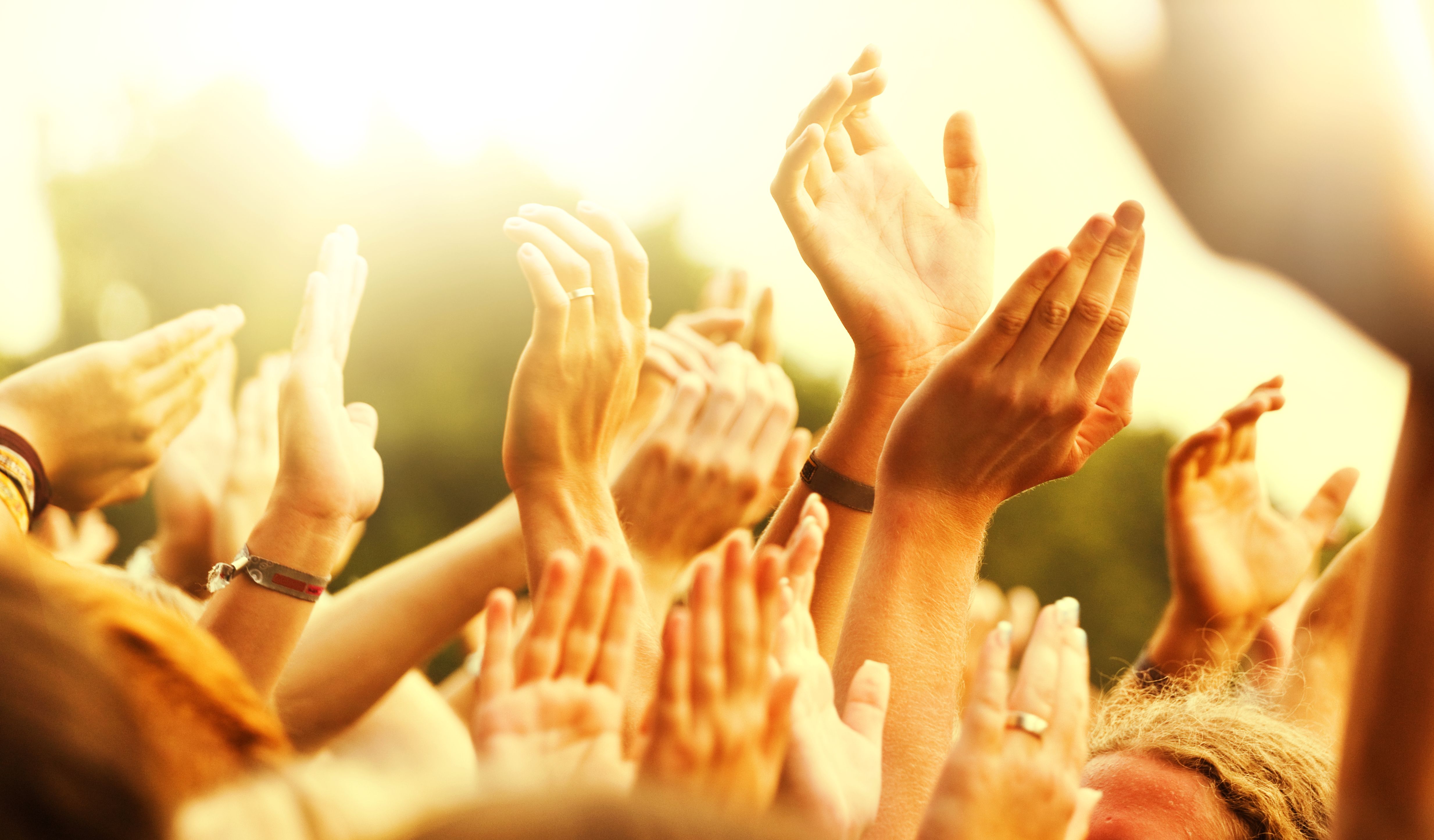 audience insights