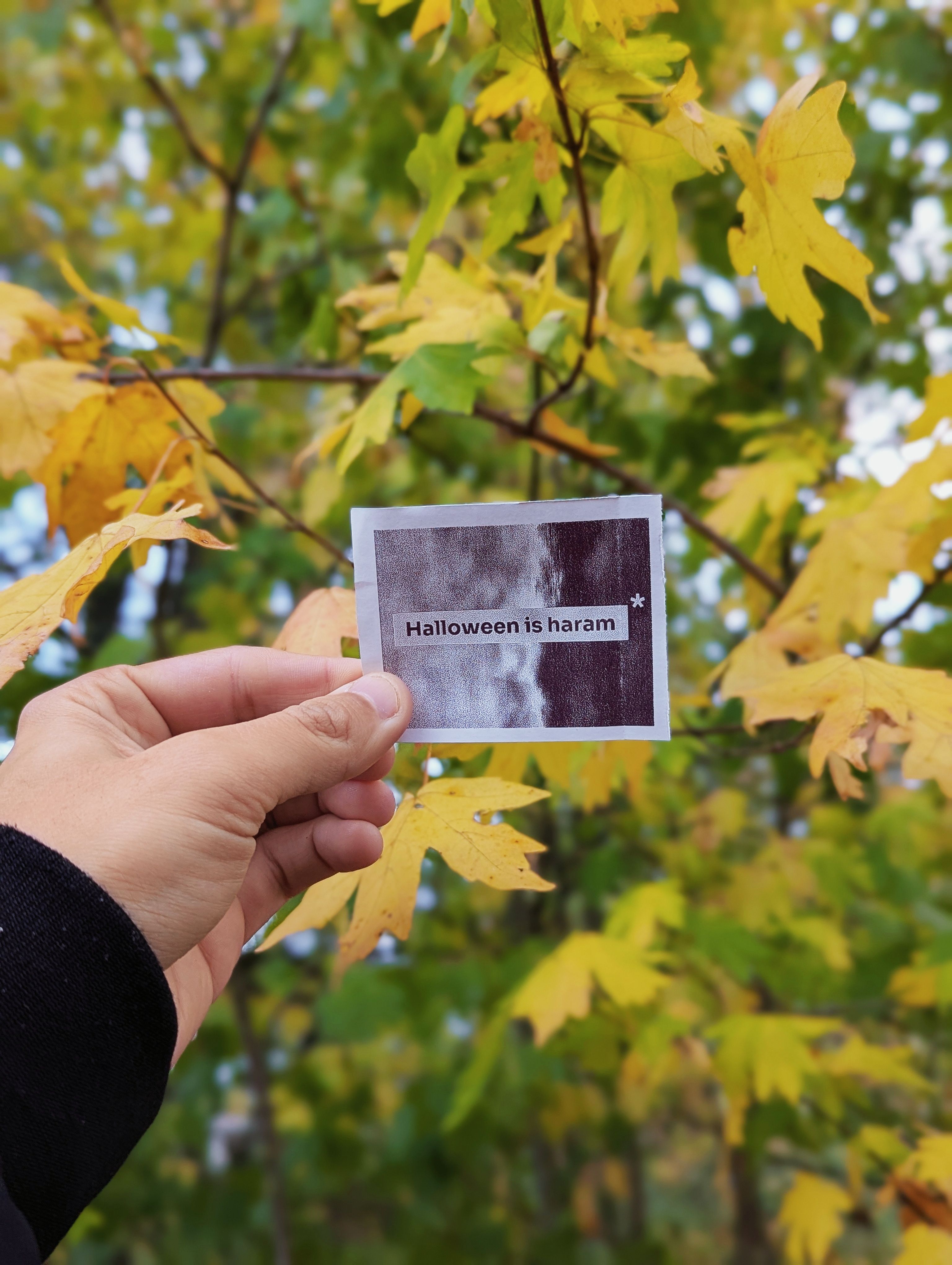 autumn card evaluation