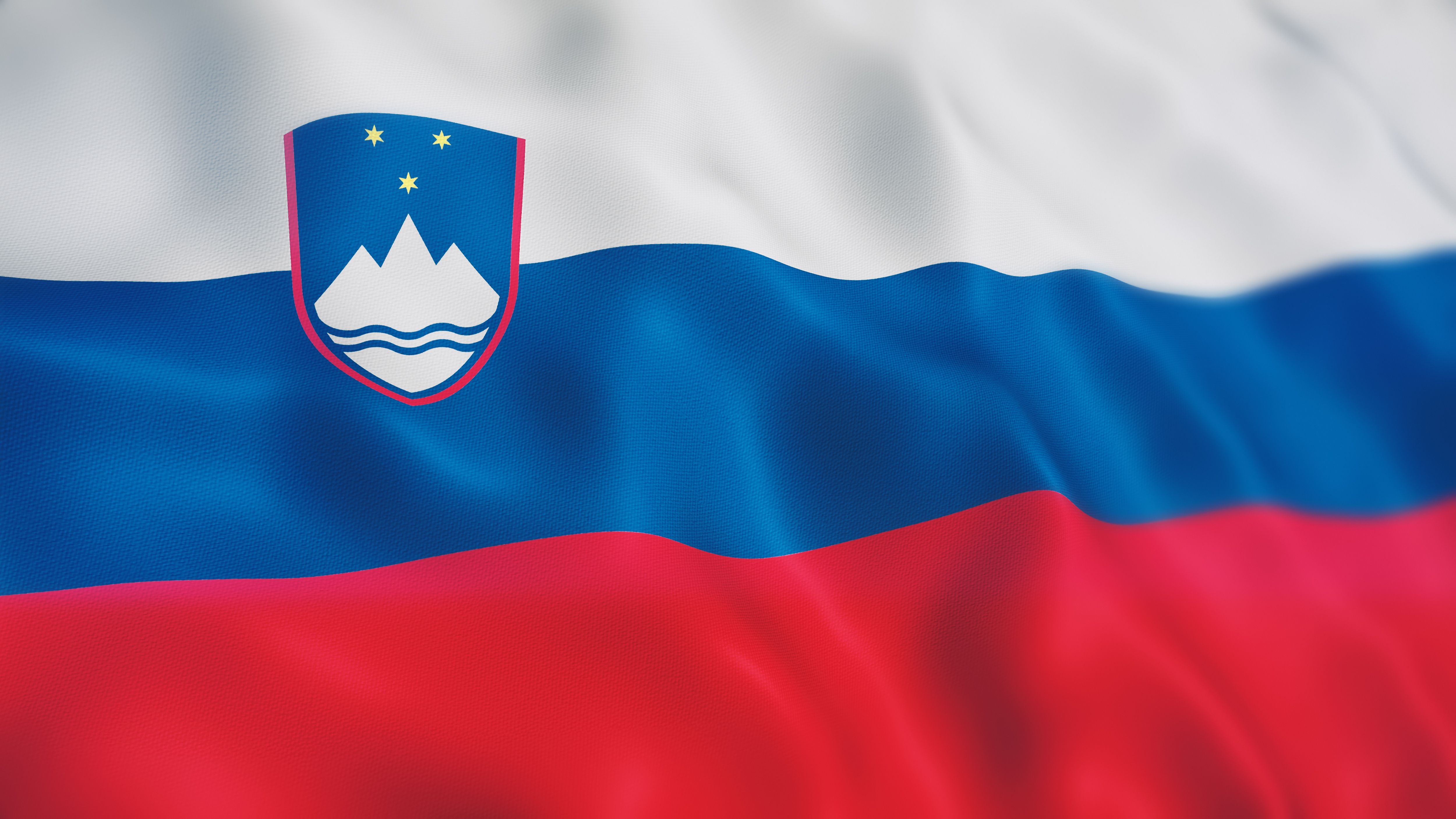 Slovenia pension system