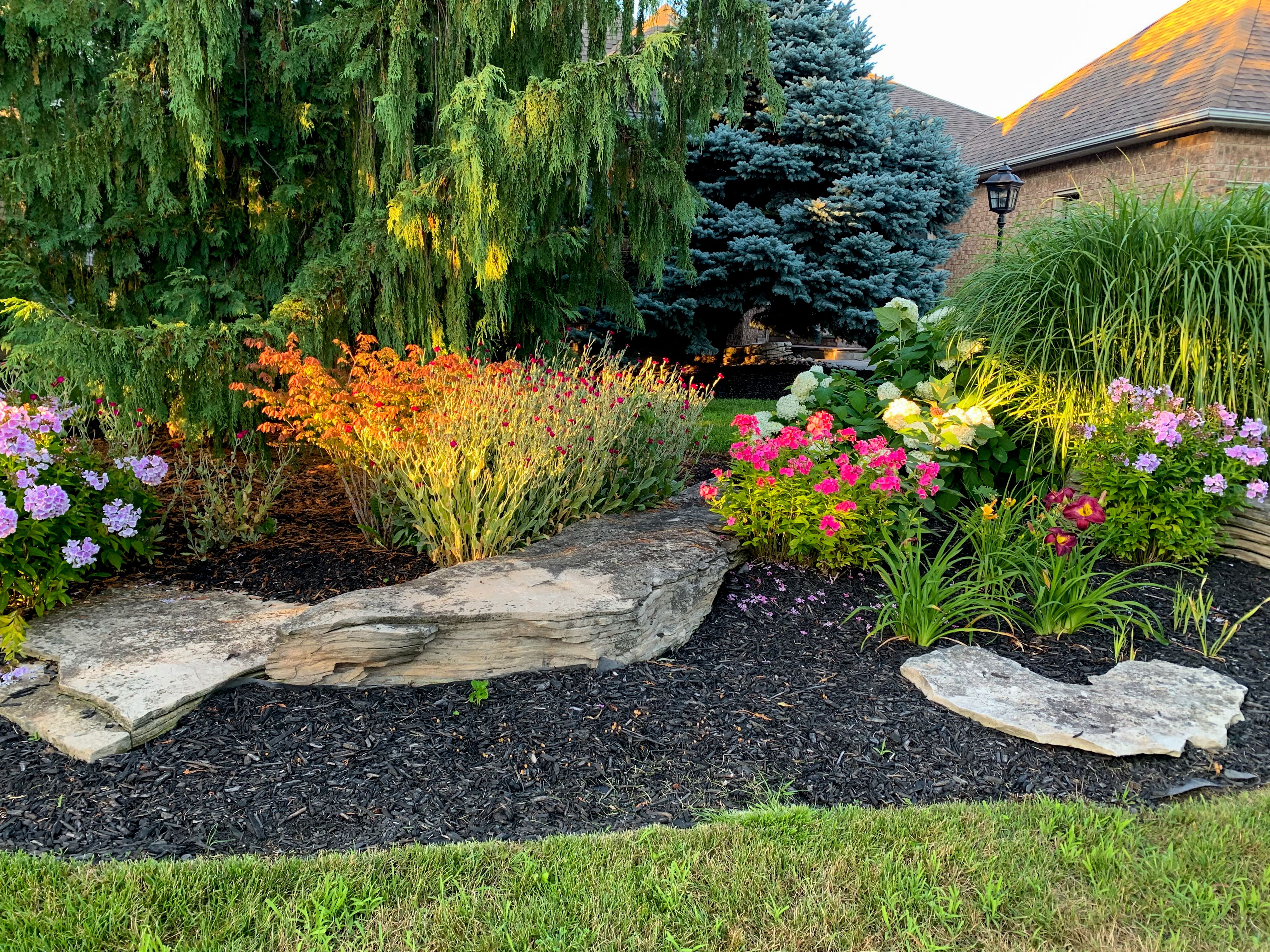 garden landscape