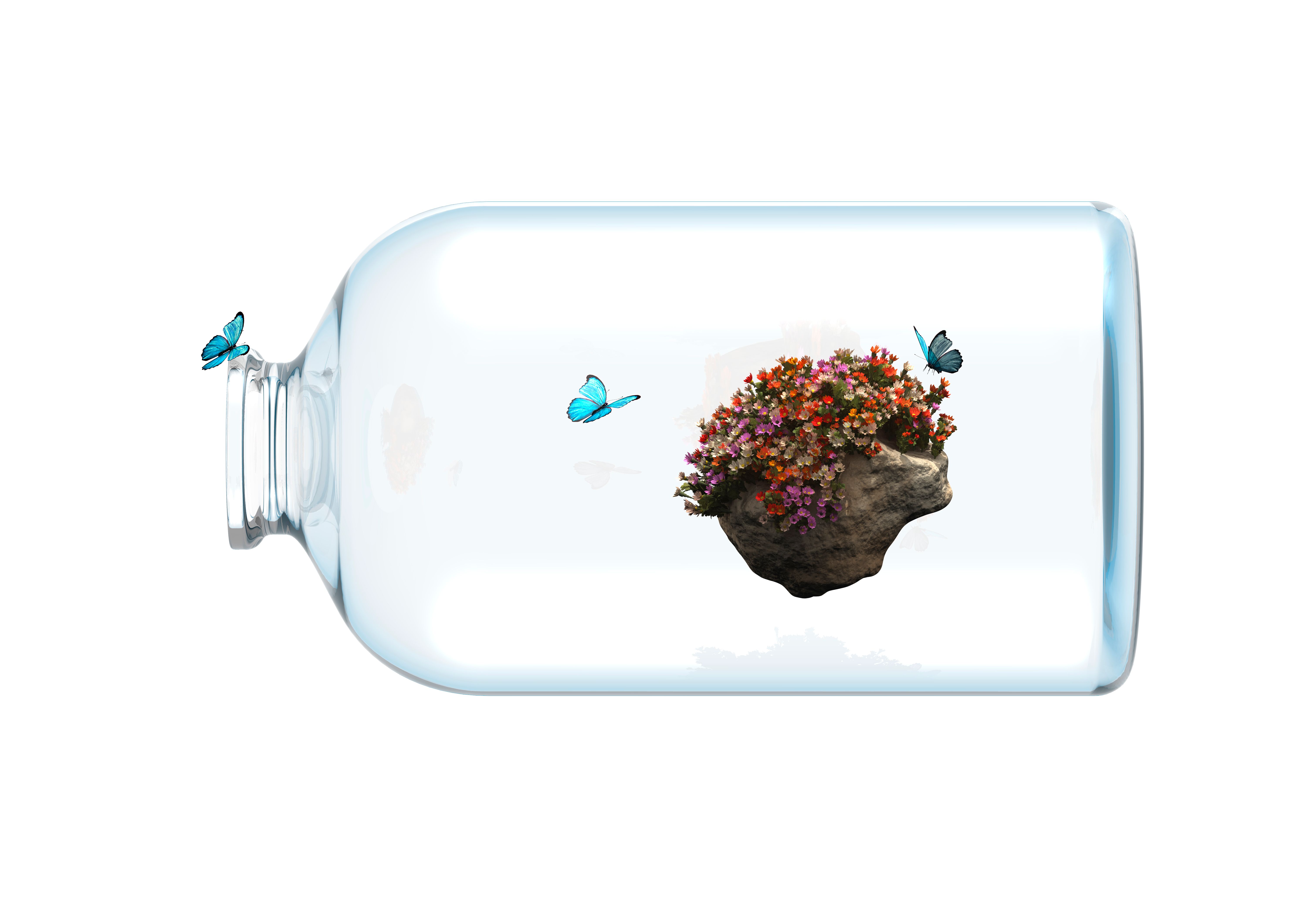 Rock of flower and butterfly in the bottle