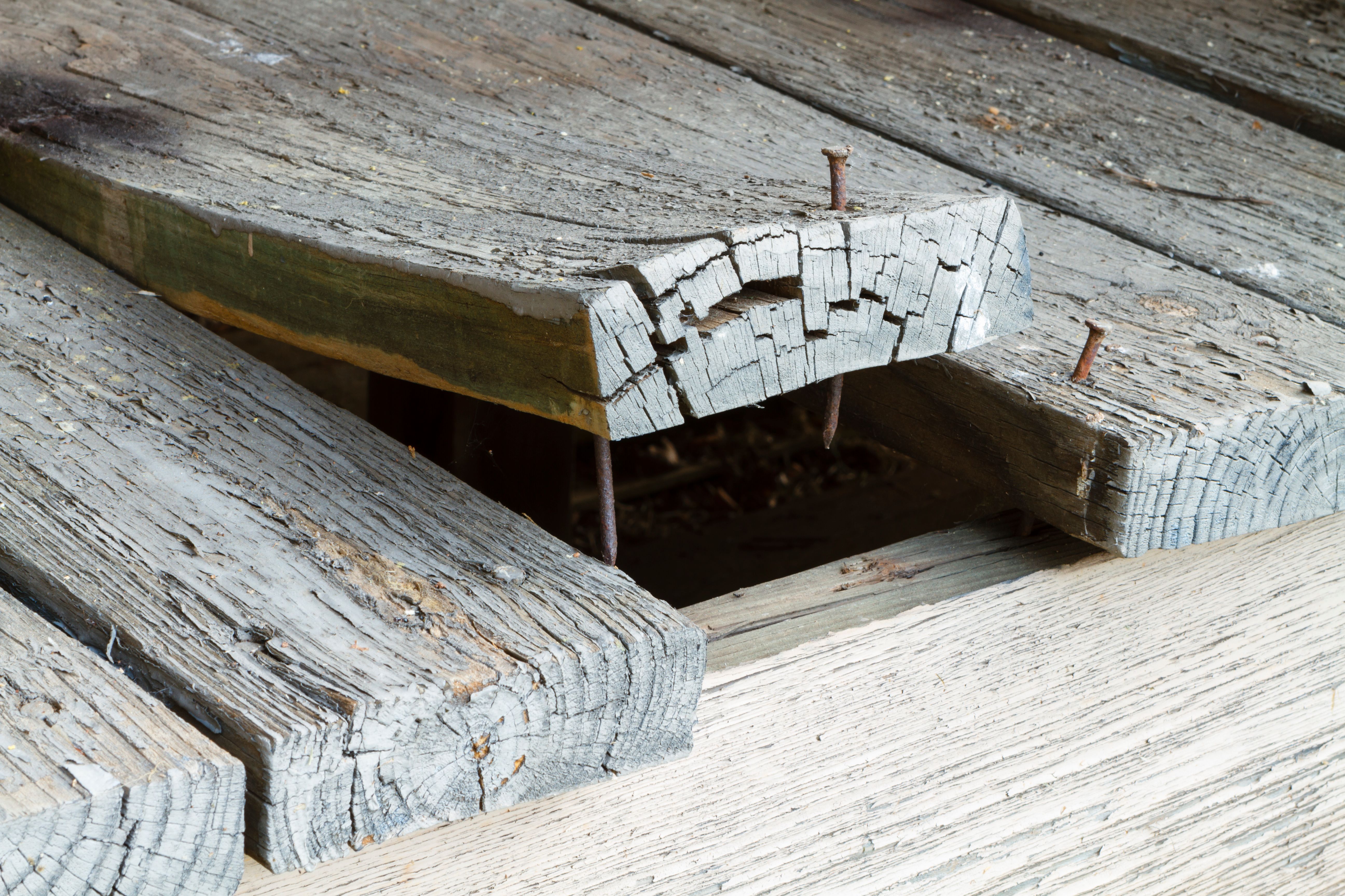 deck dry rot
