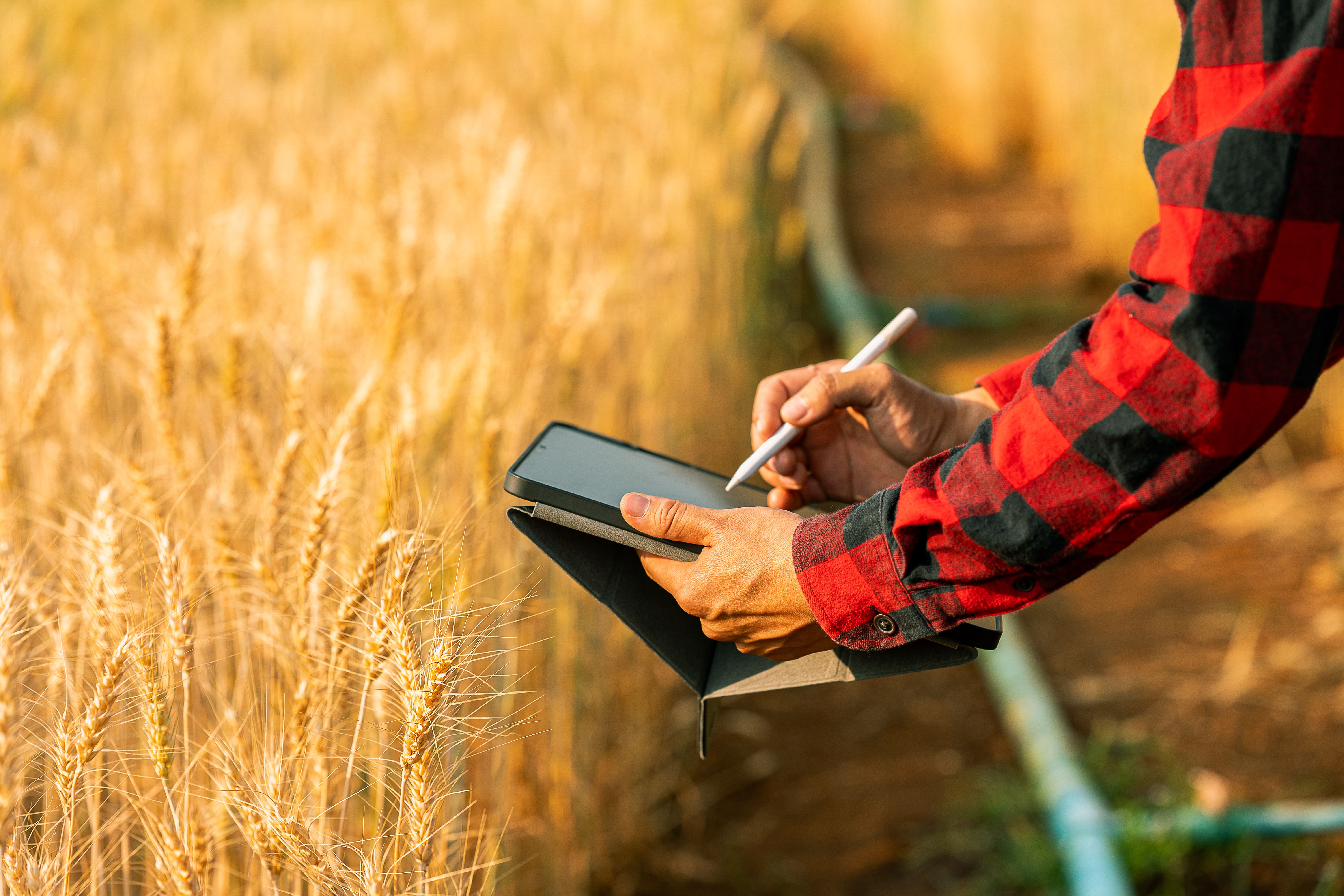 drones for beginners