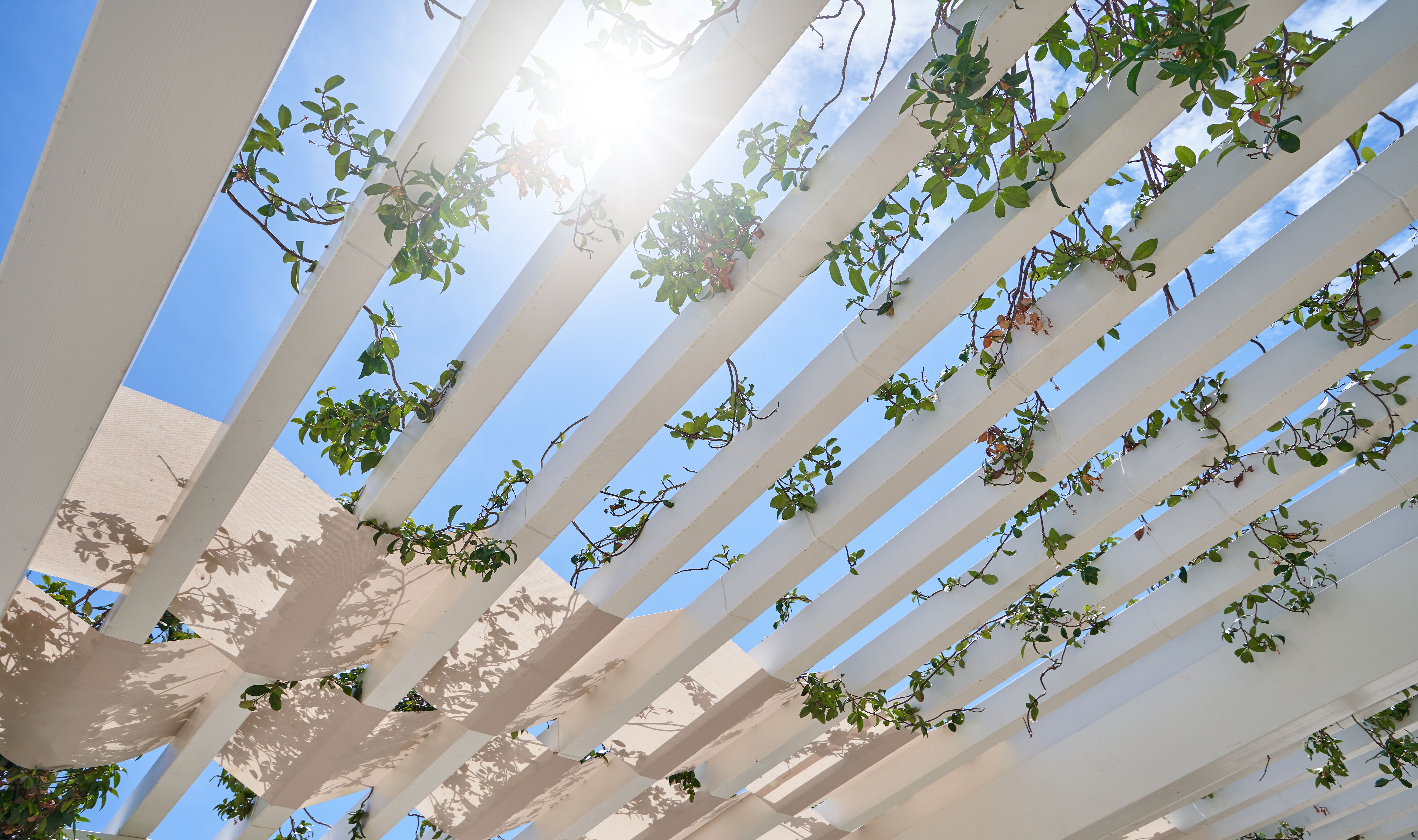 elegant pergola design