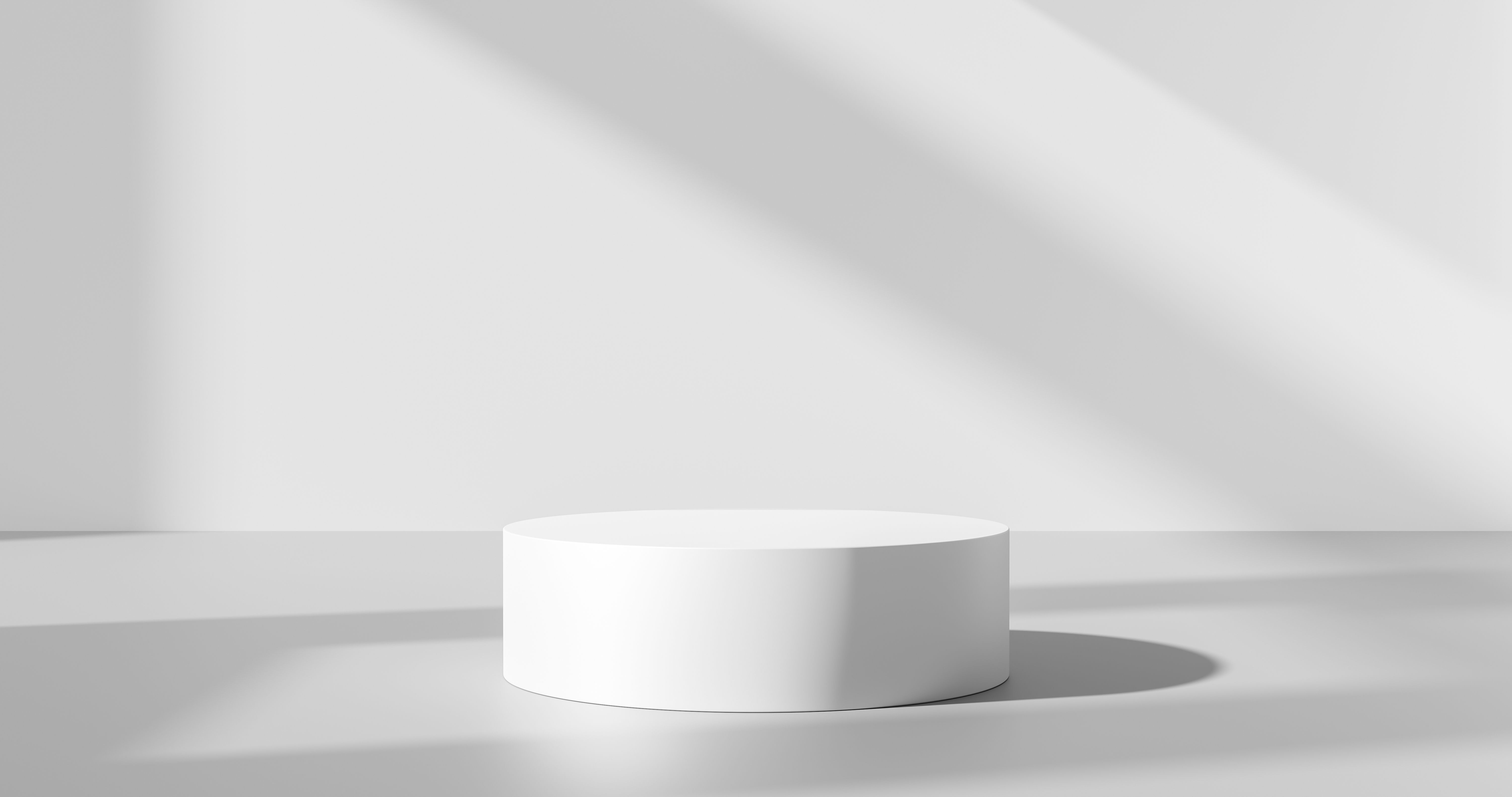product showcase