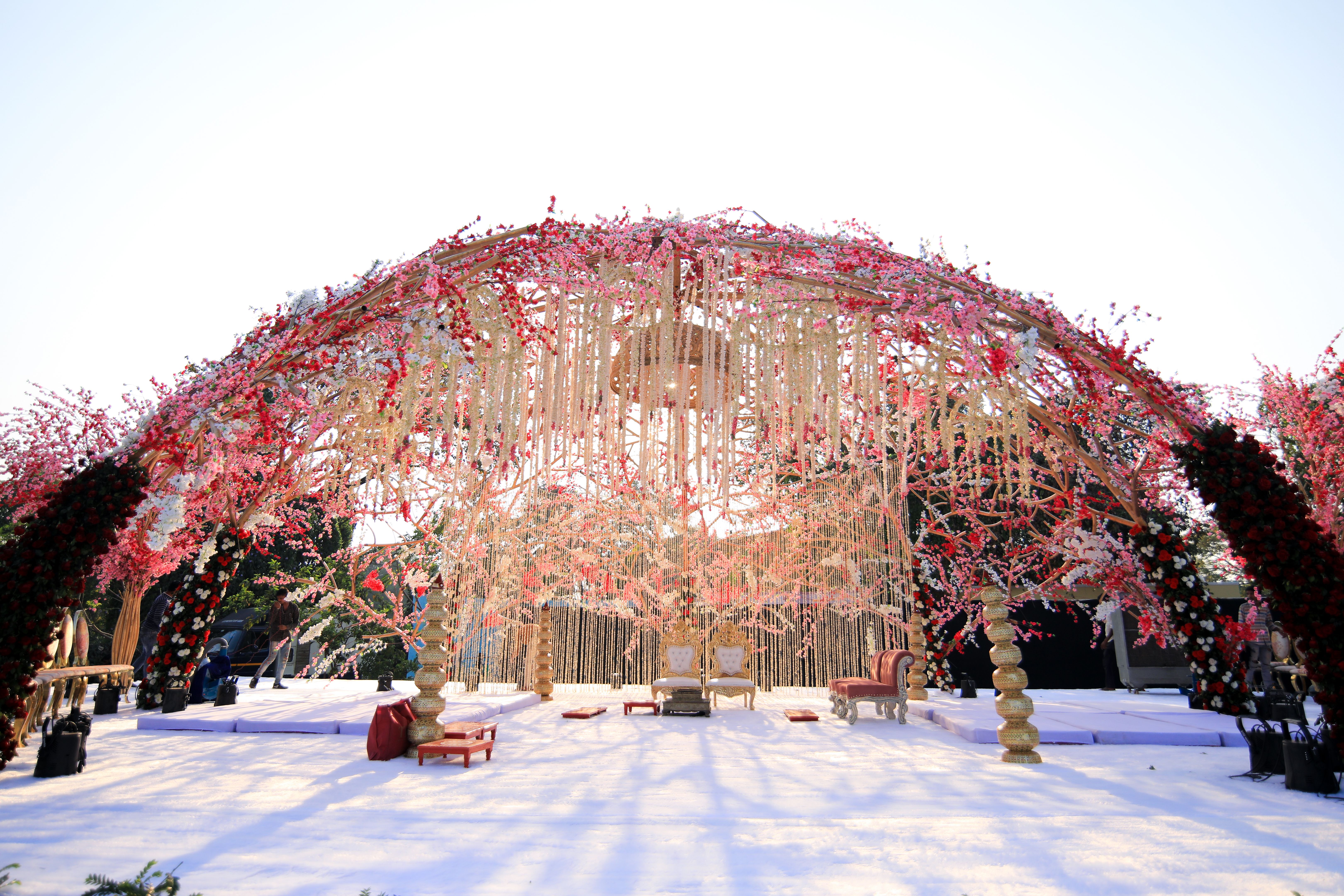 Wedding Mandap