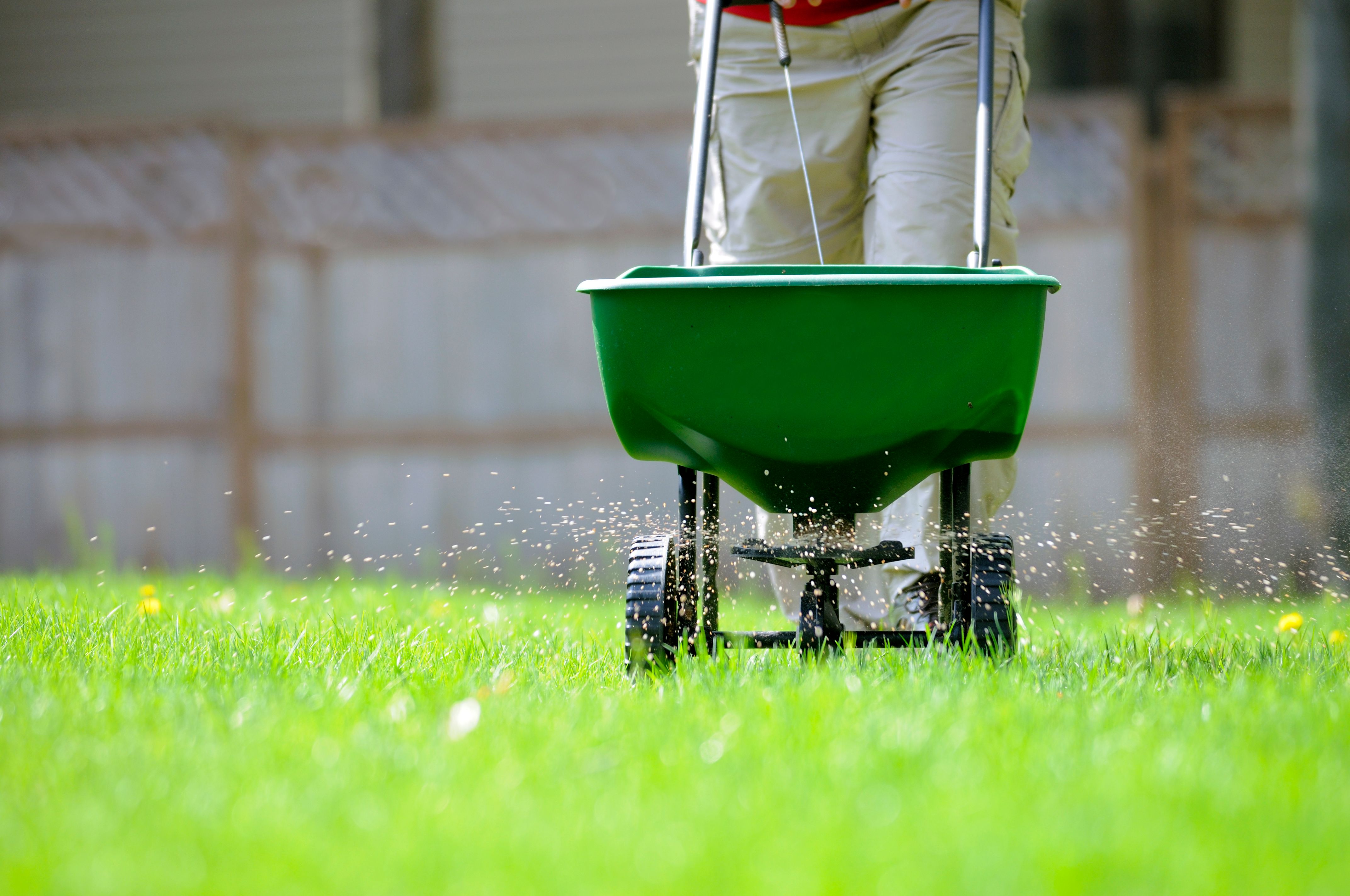 spring lawn