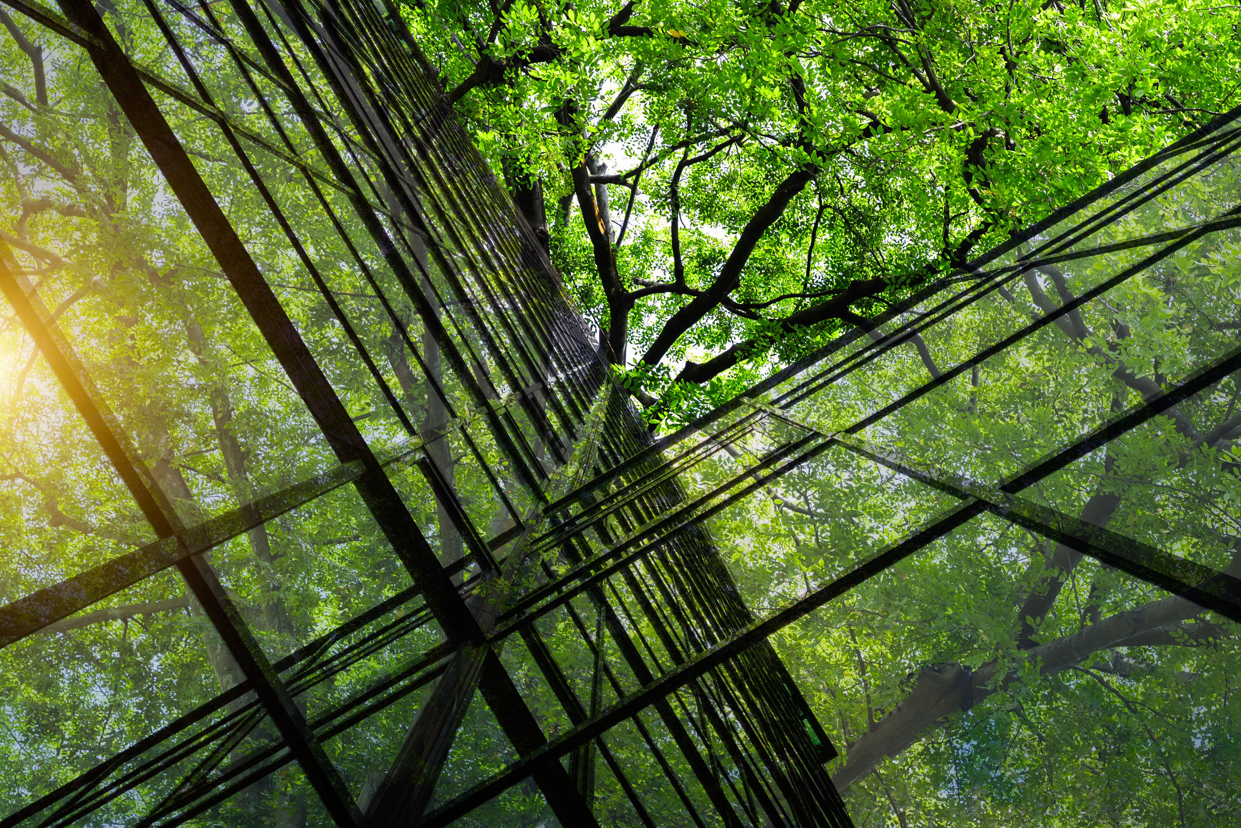 architecture nature