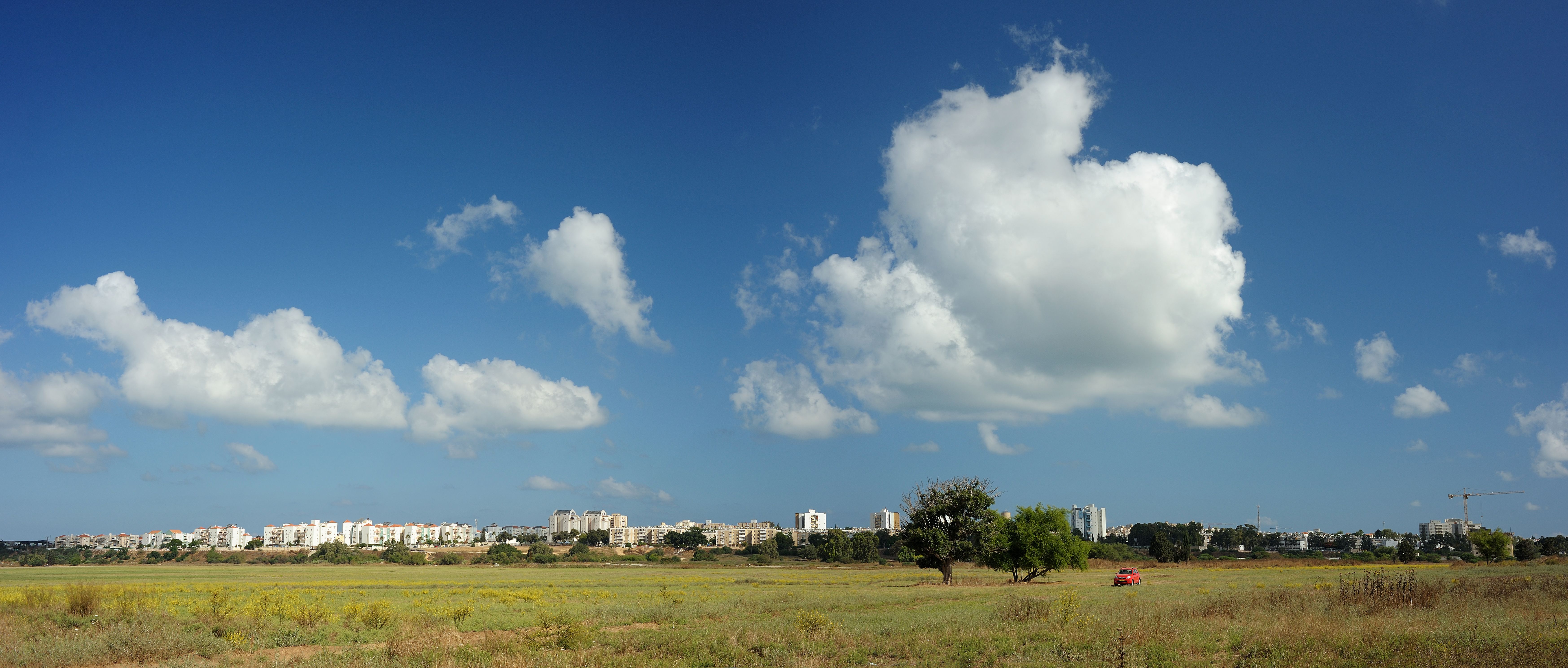 rishon letsiyyon landscape