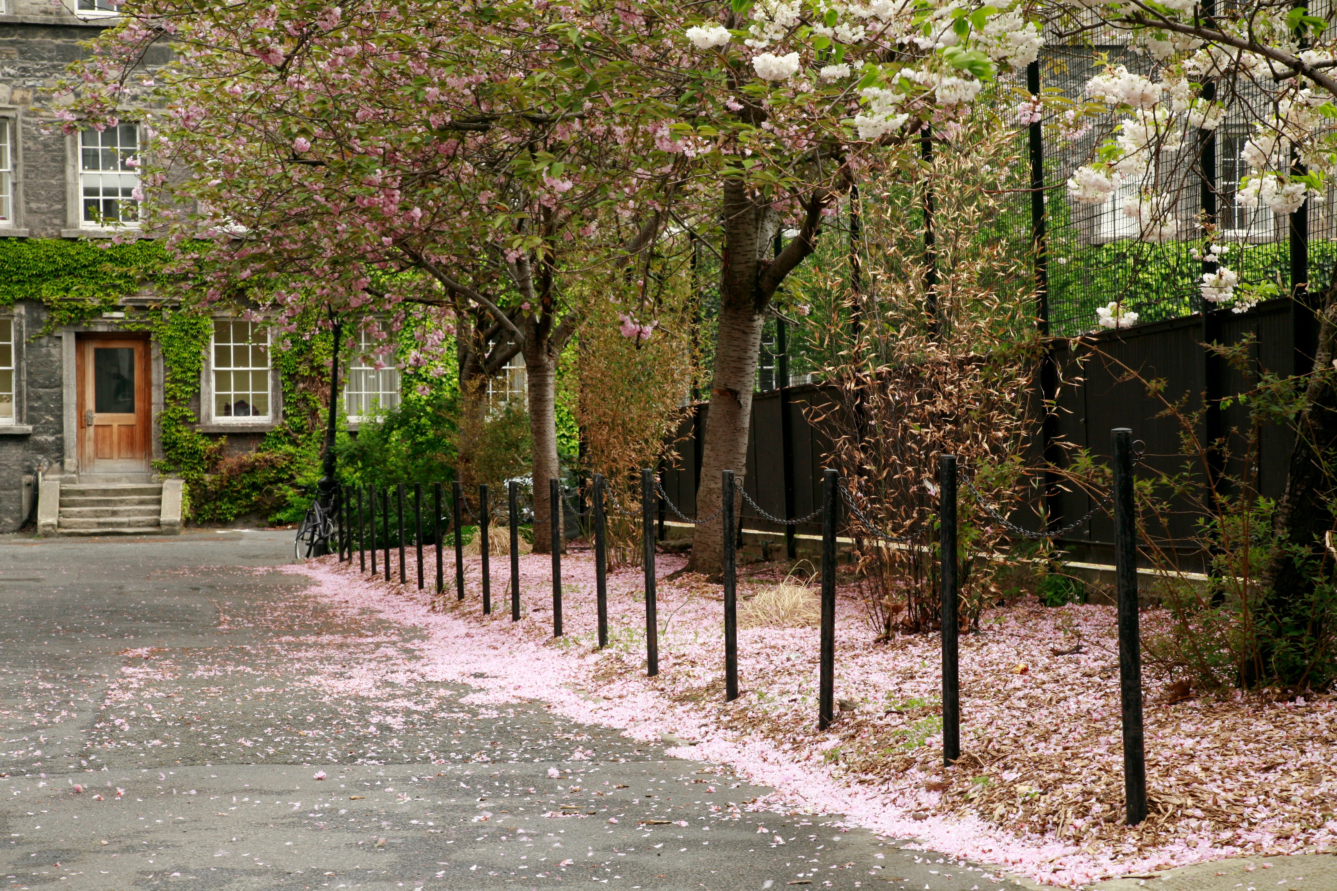 student accommodation dublin
