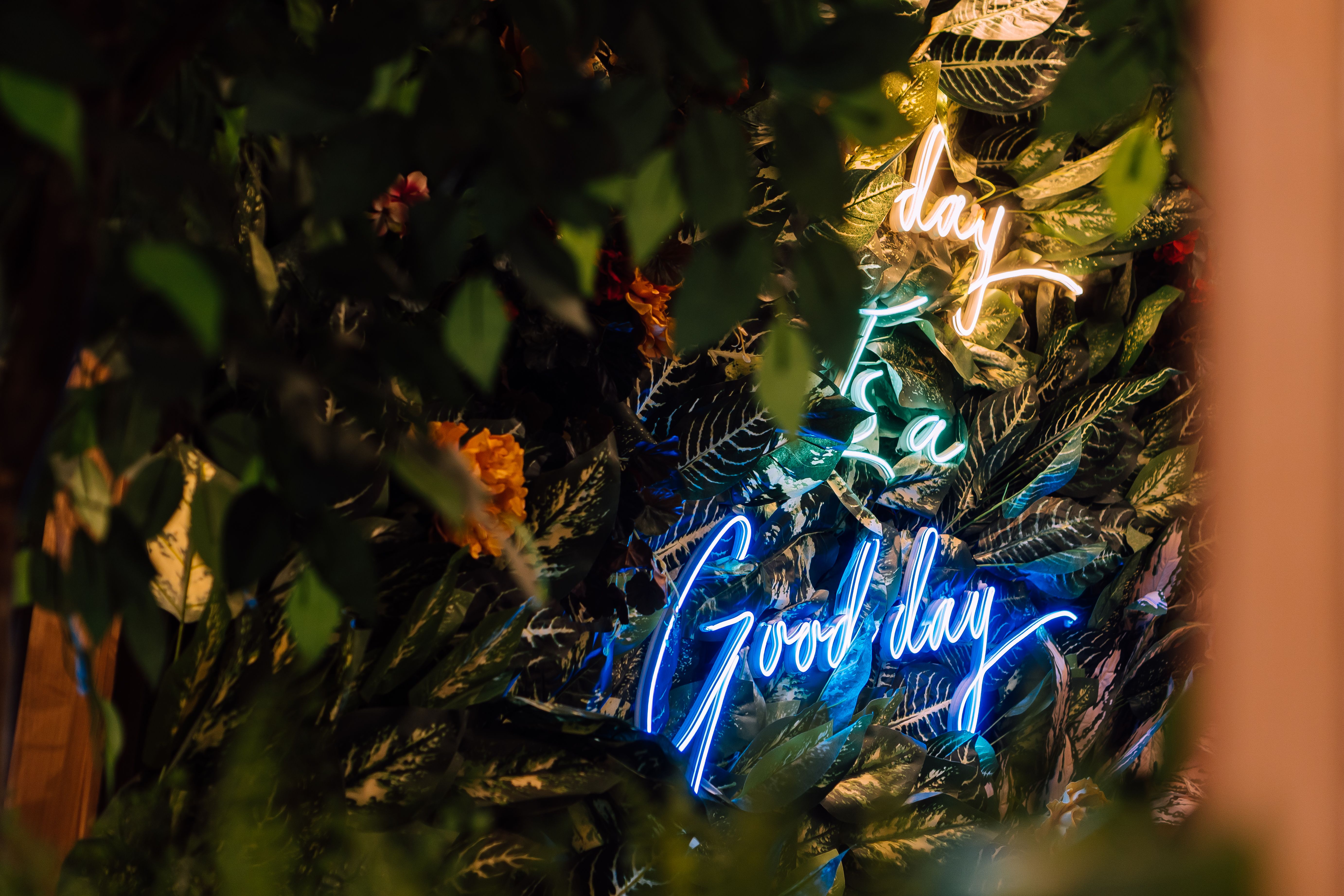 Neon Text on Vertical Plant