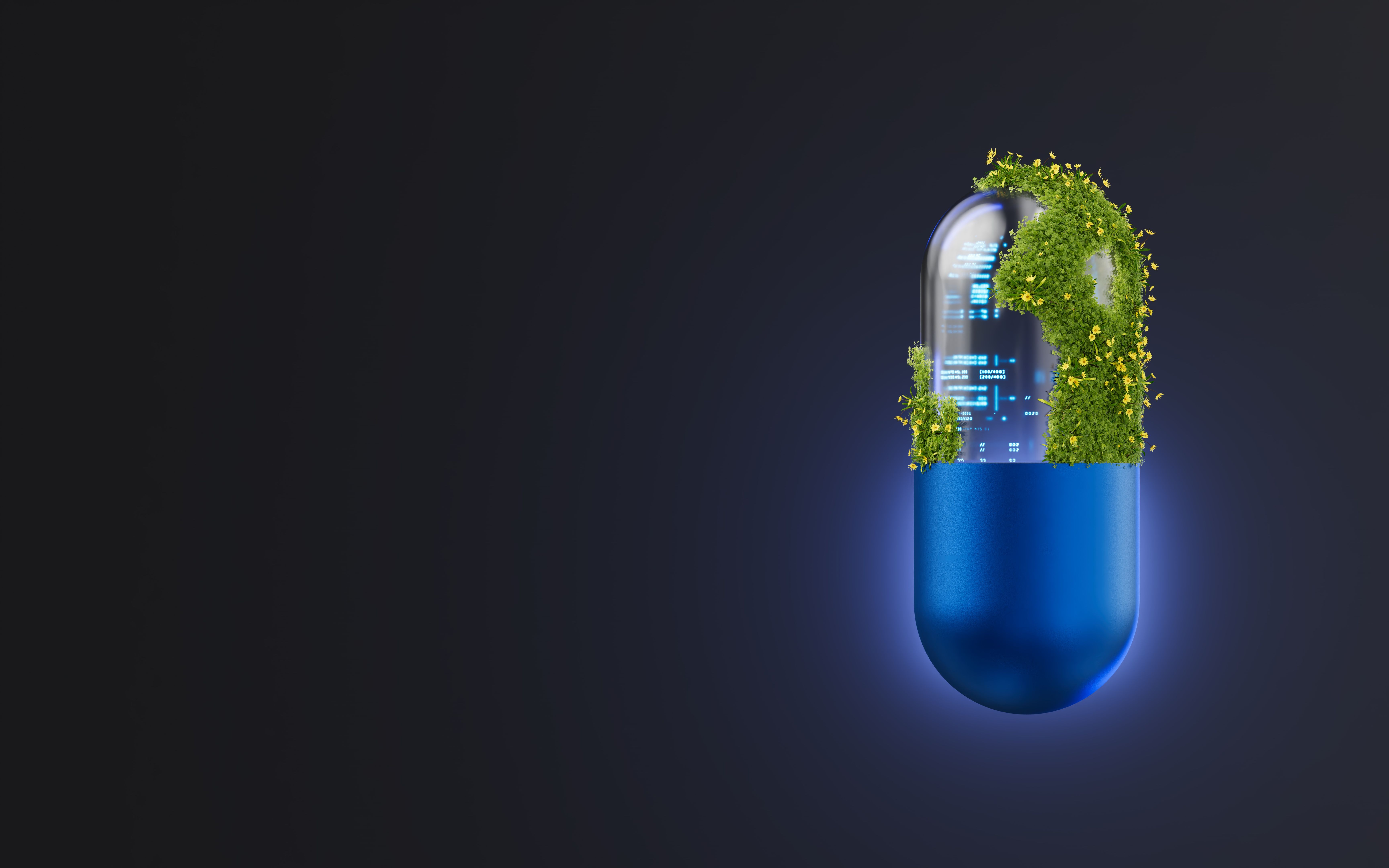 holistic health