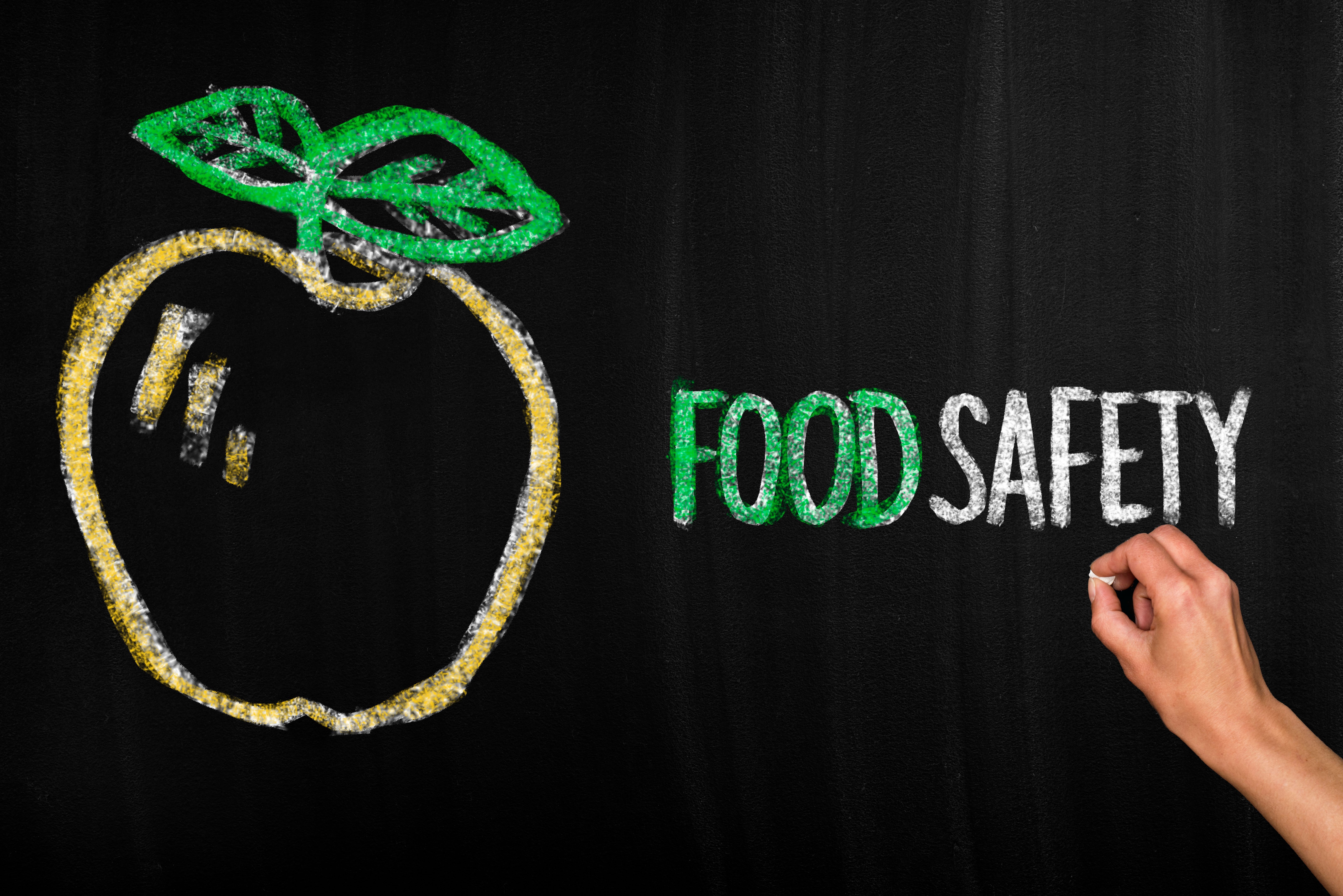 food safety plan