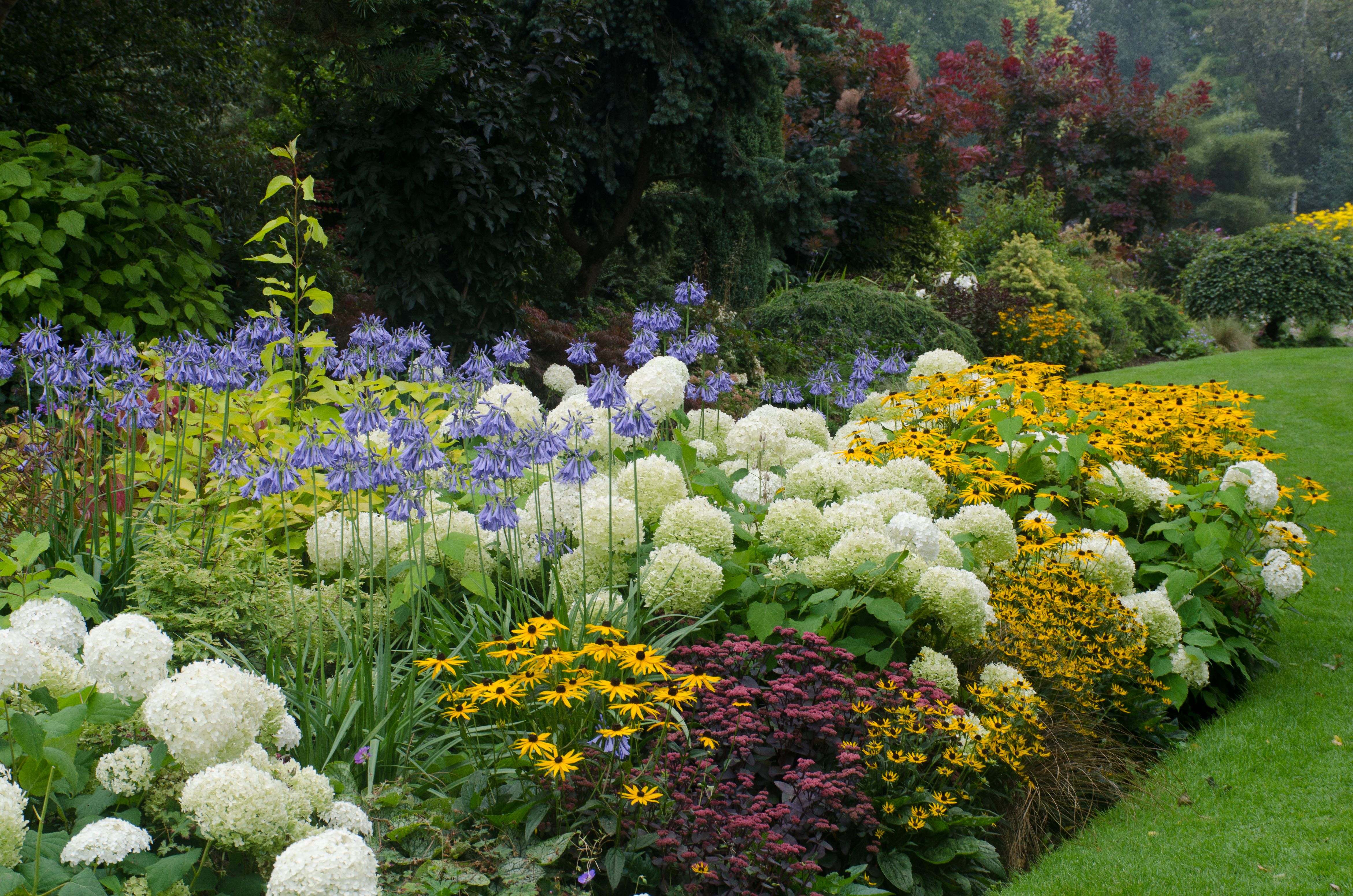 English perennial border English perennial border