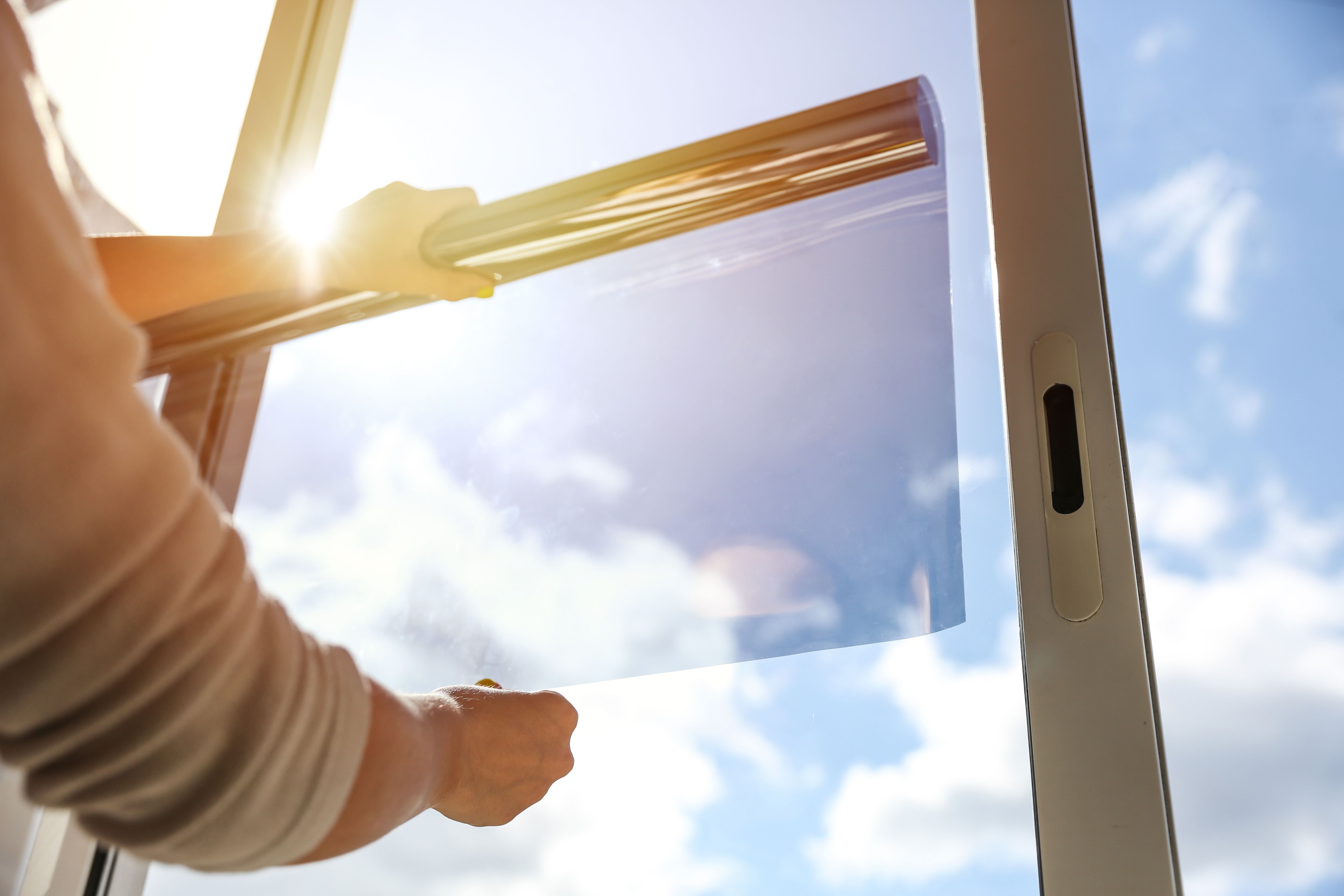 window tint law